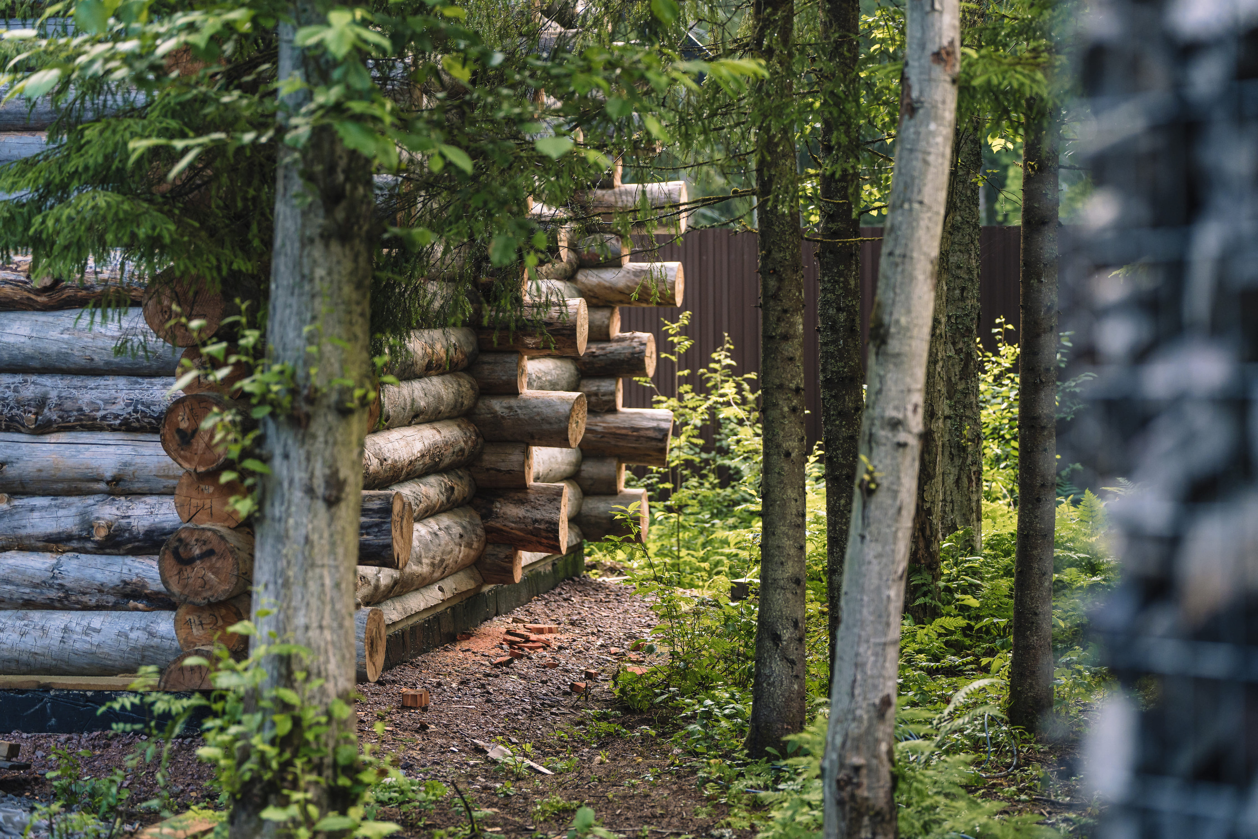 Дом в лесу. Святослав Буньков | фотограф