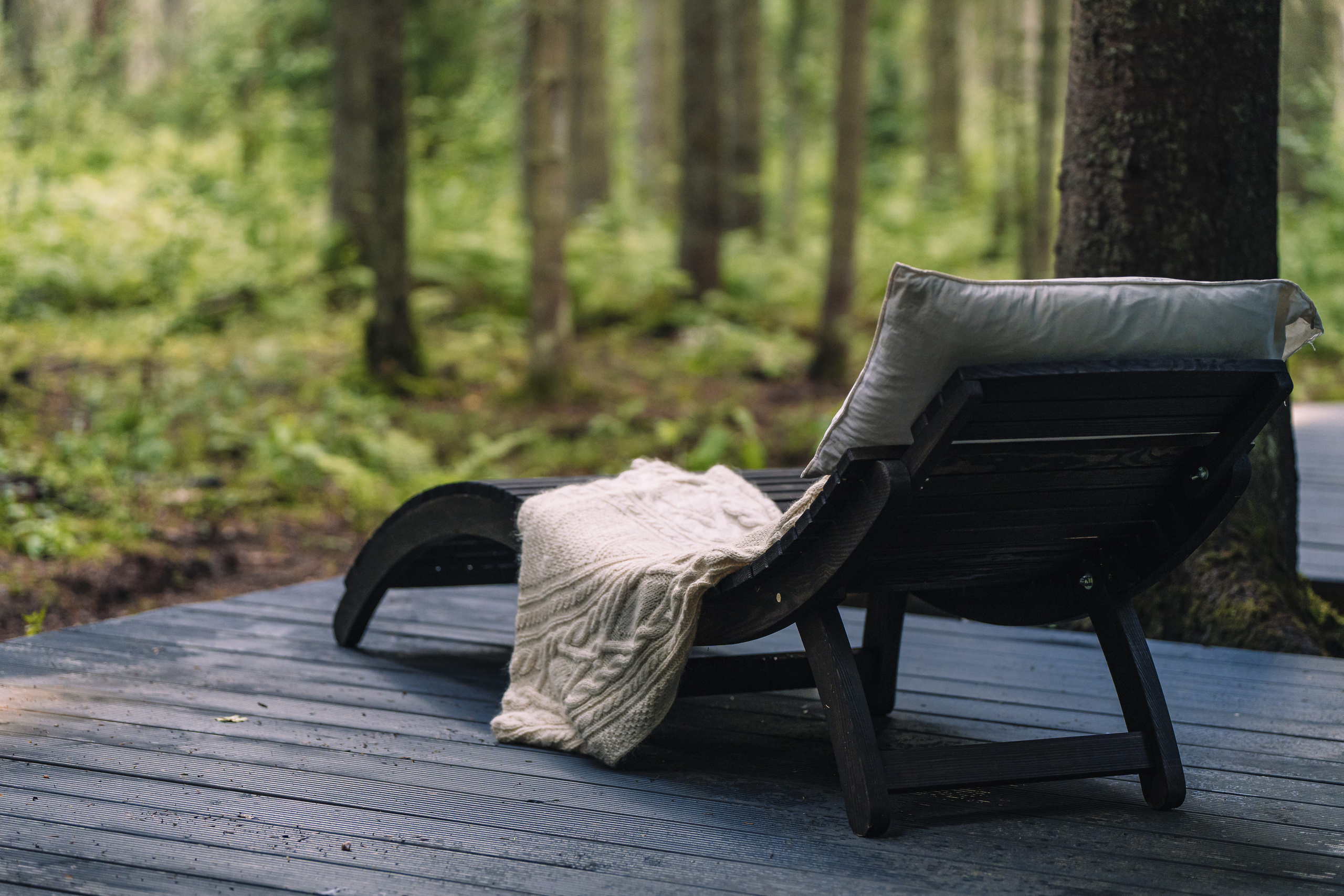 Дом в лесу. Святослав Буньков | фотограф