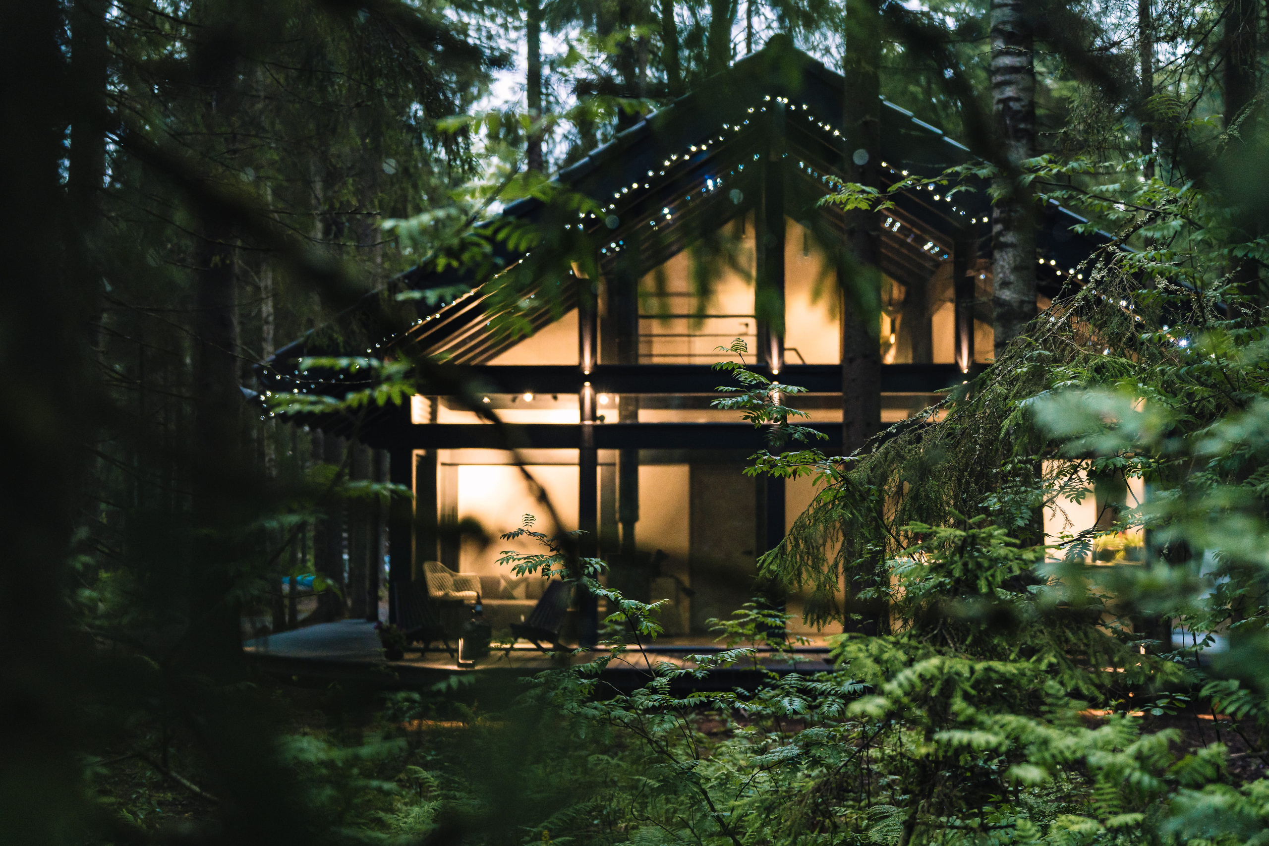 Дом в лесу. Святослав Буньков | фотограф