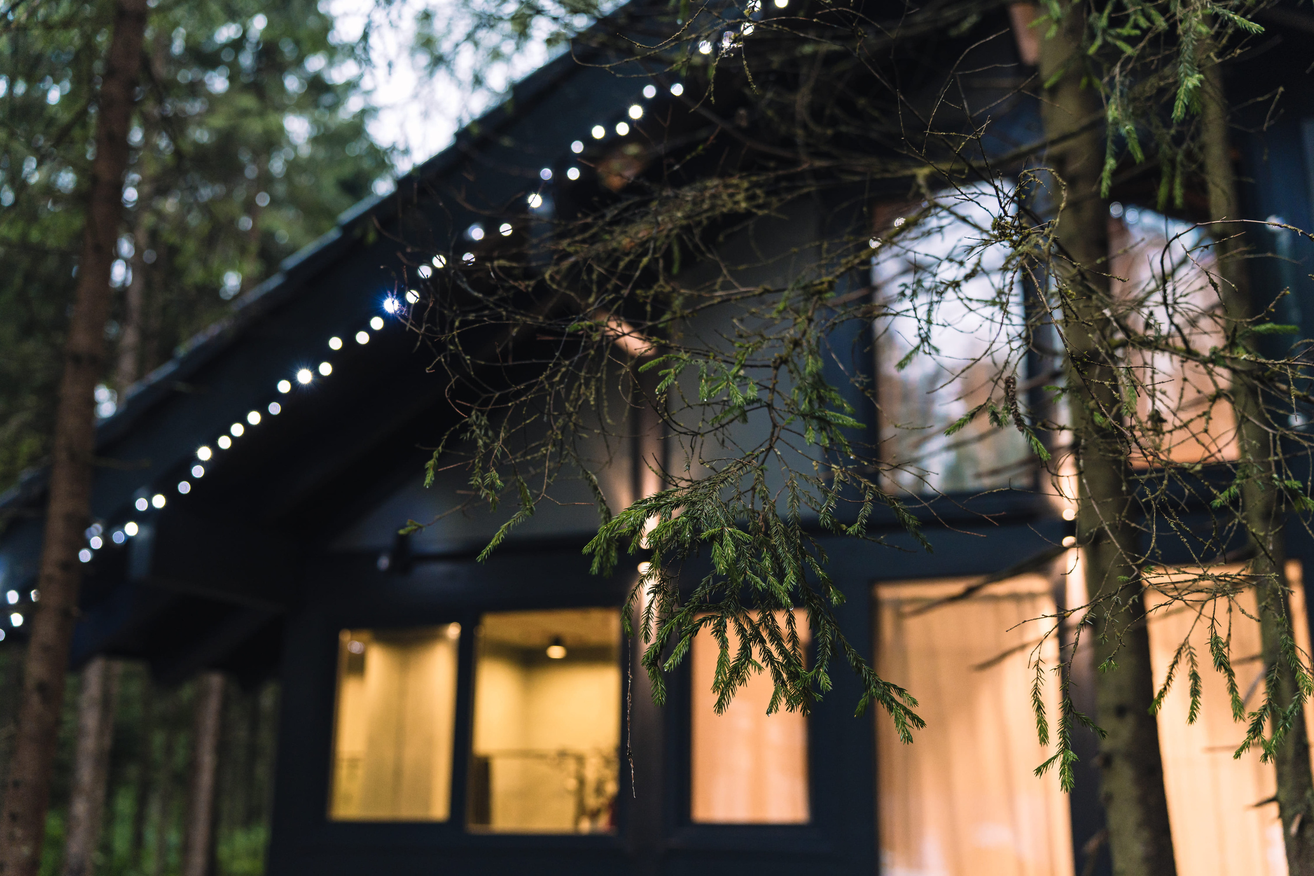 Дом в лесу. Святослав Буньков | фотограф