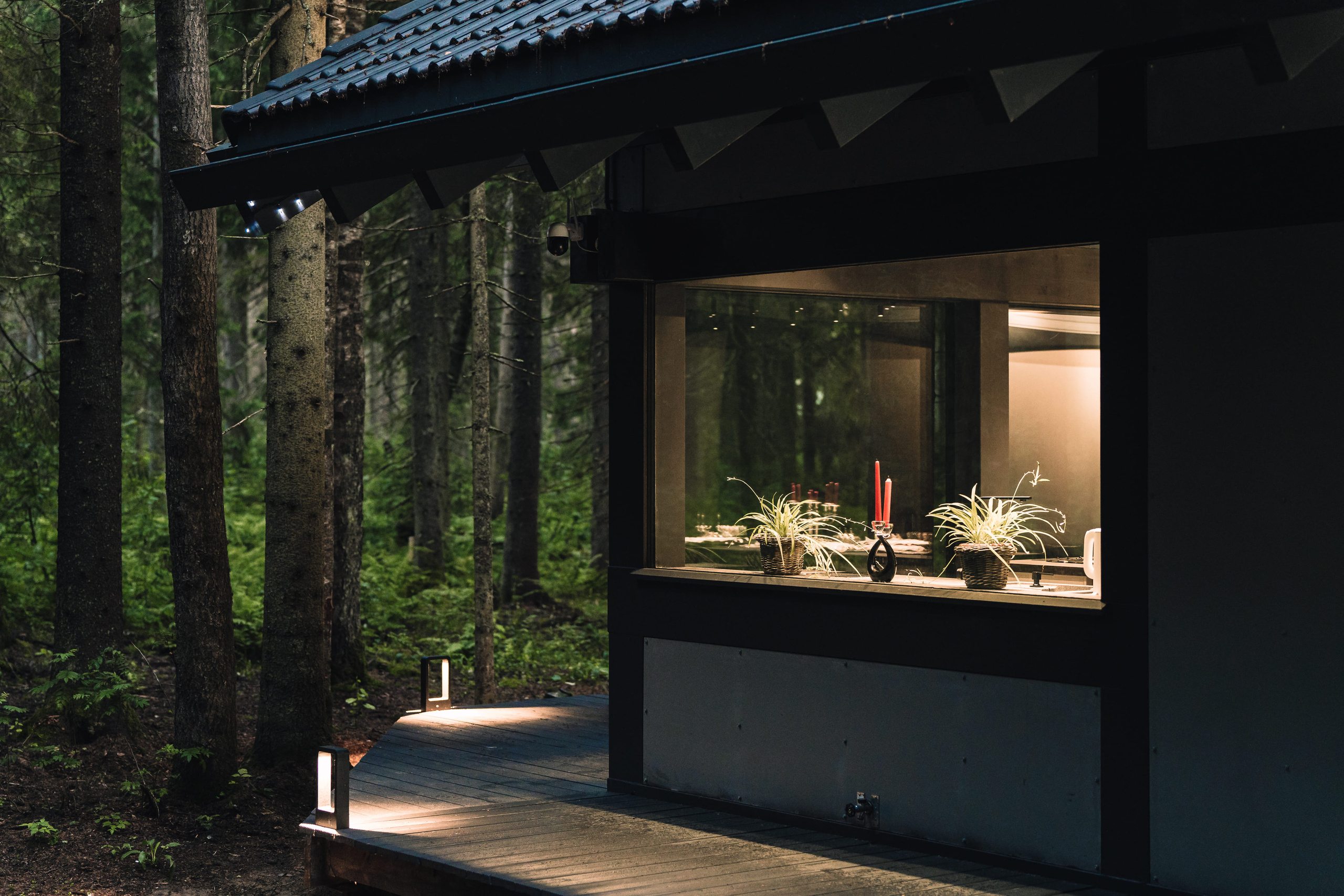 Дом в лесу. Святослав Буньков | фотограф