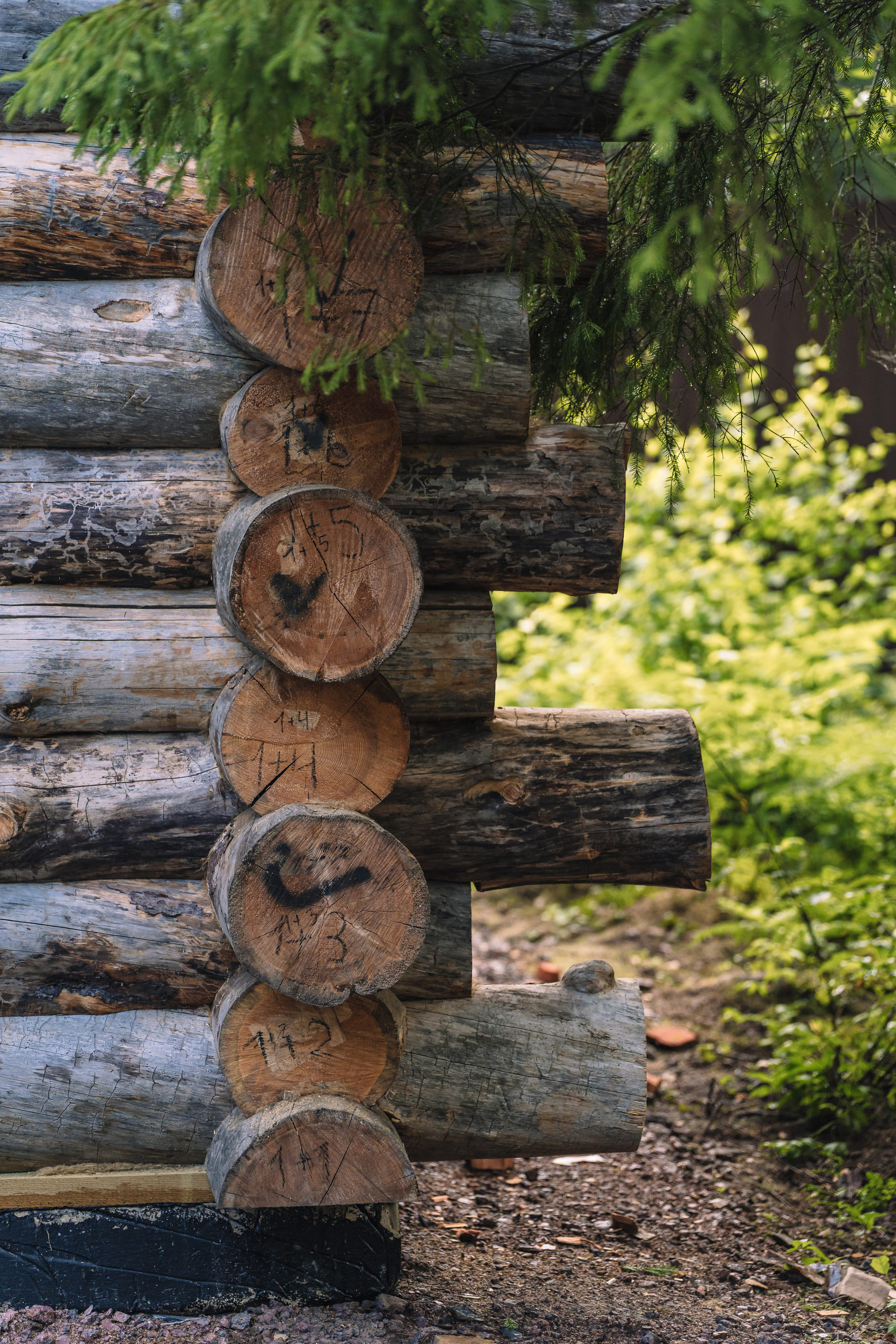 Дом в лесу. Святослав Буньков | фотограф