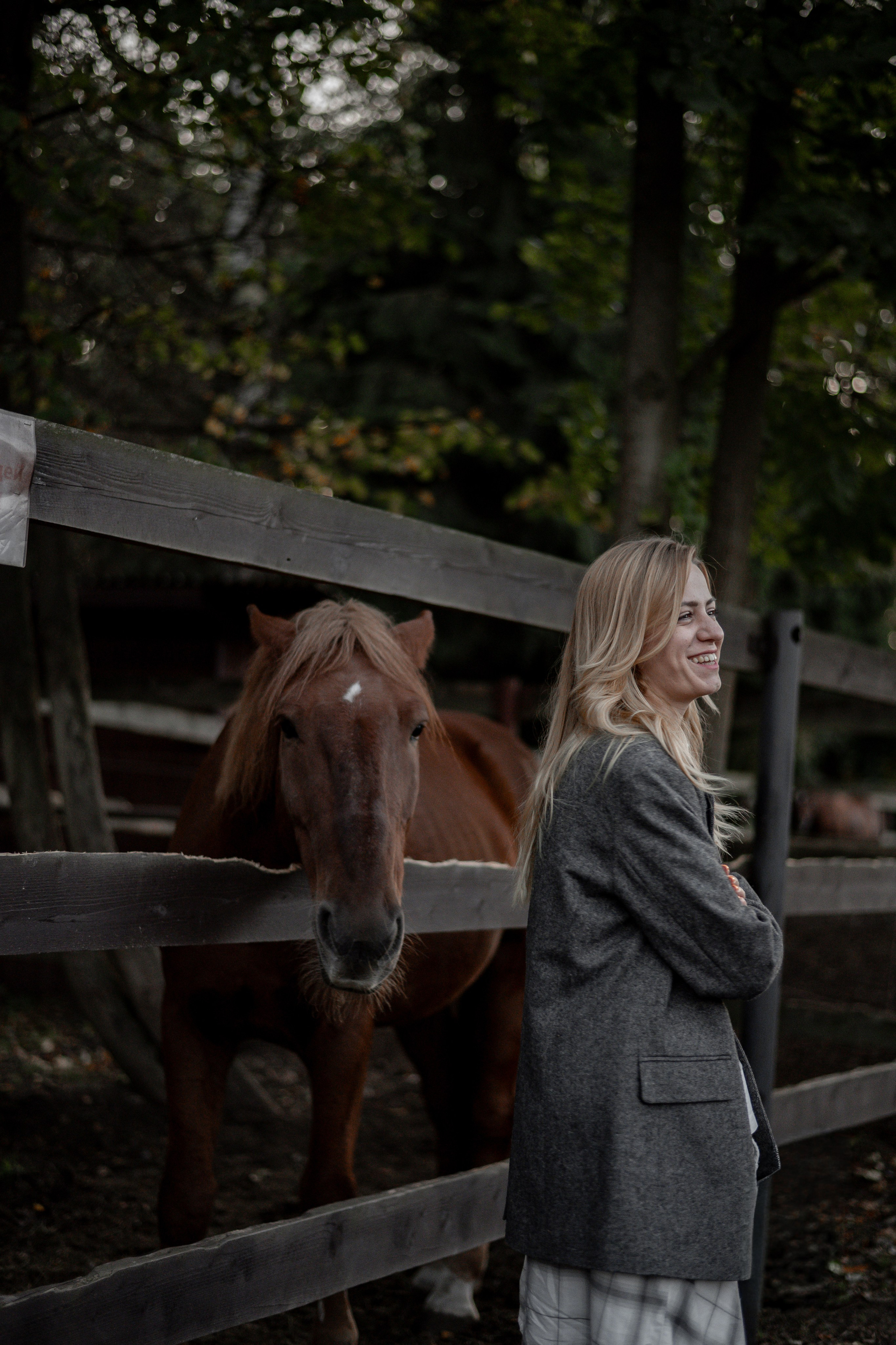 Фотосессия на конюшне. Фотограф в Москве и Королёве Сутягина Мария