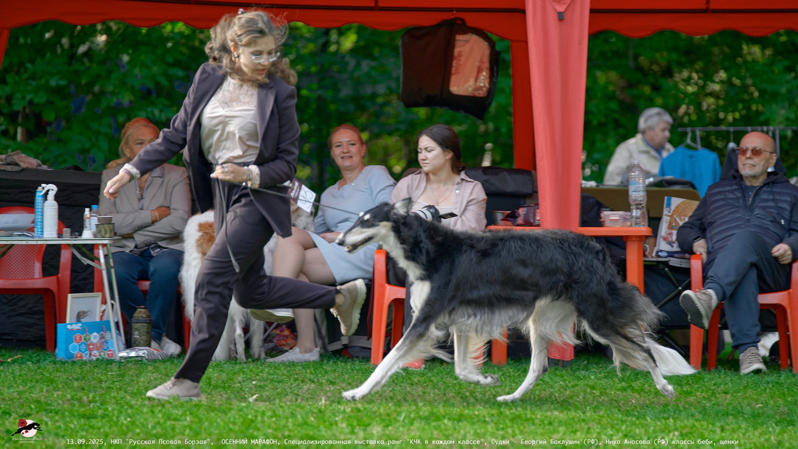 ОСЕННИЙ МАРАФОН | Специализированная выставка породы Русская Псовая Борзая ранг "КЧК в каждом классе"