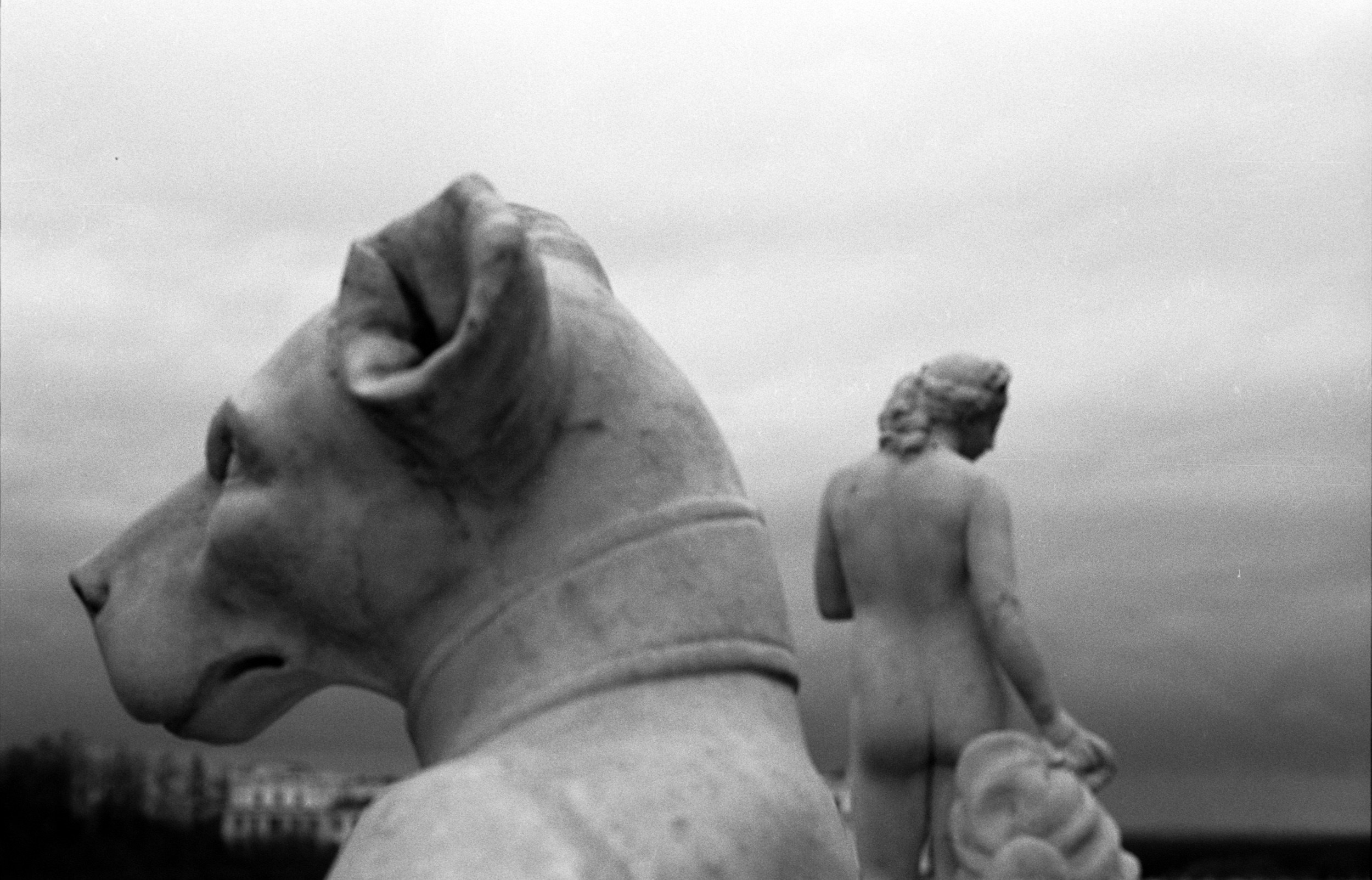 Русский Сон. Елена Цихон художник фотографии и мастер фото-ДНК