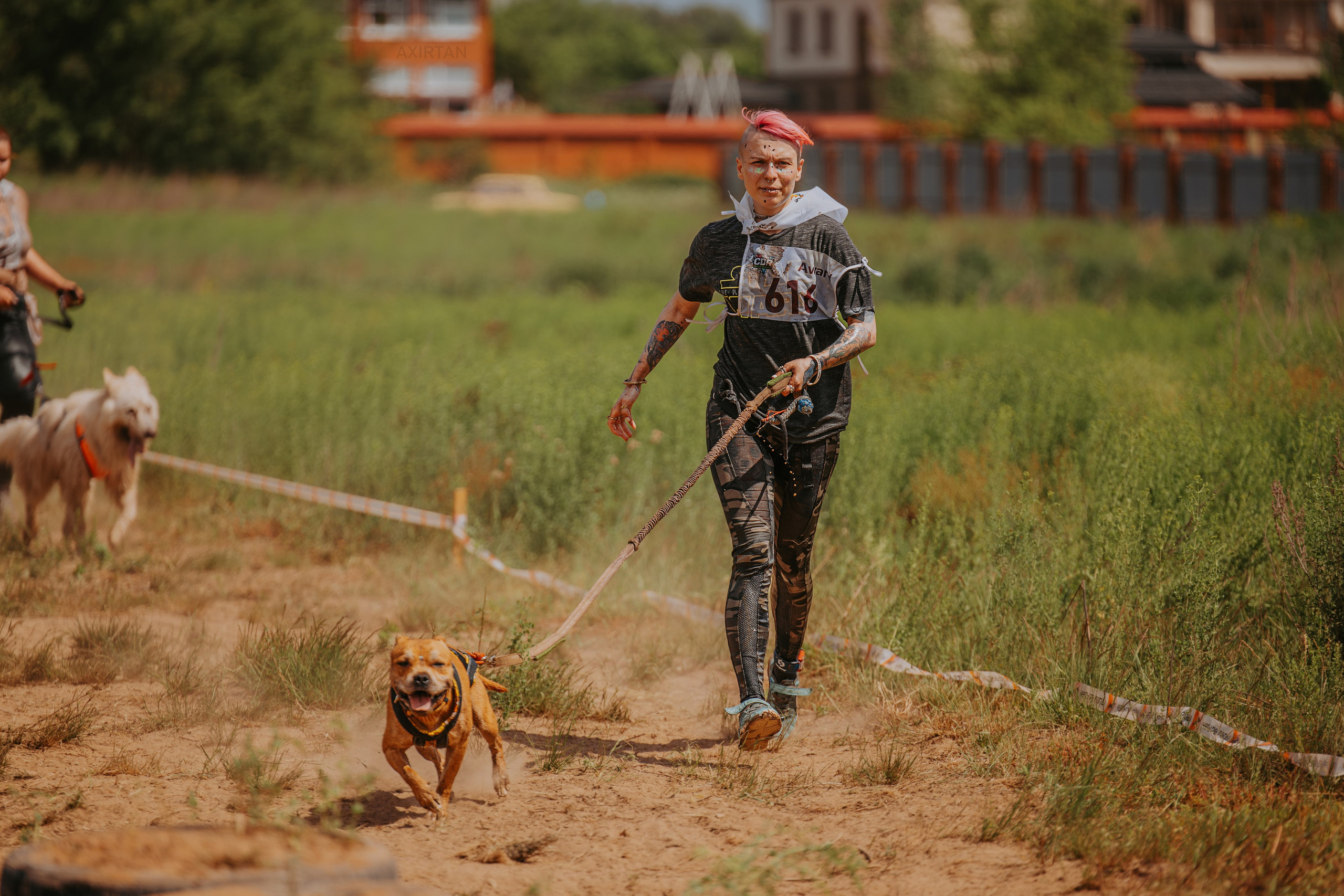 О нас. BLGKV питомник собак