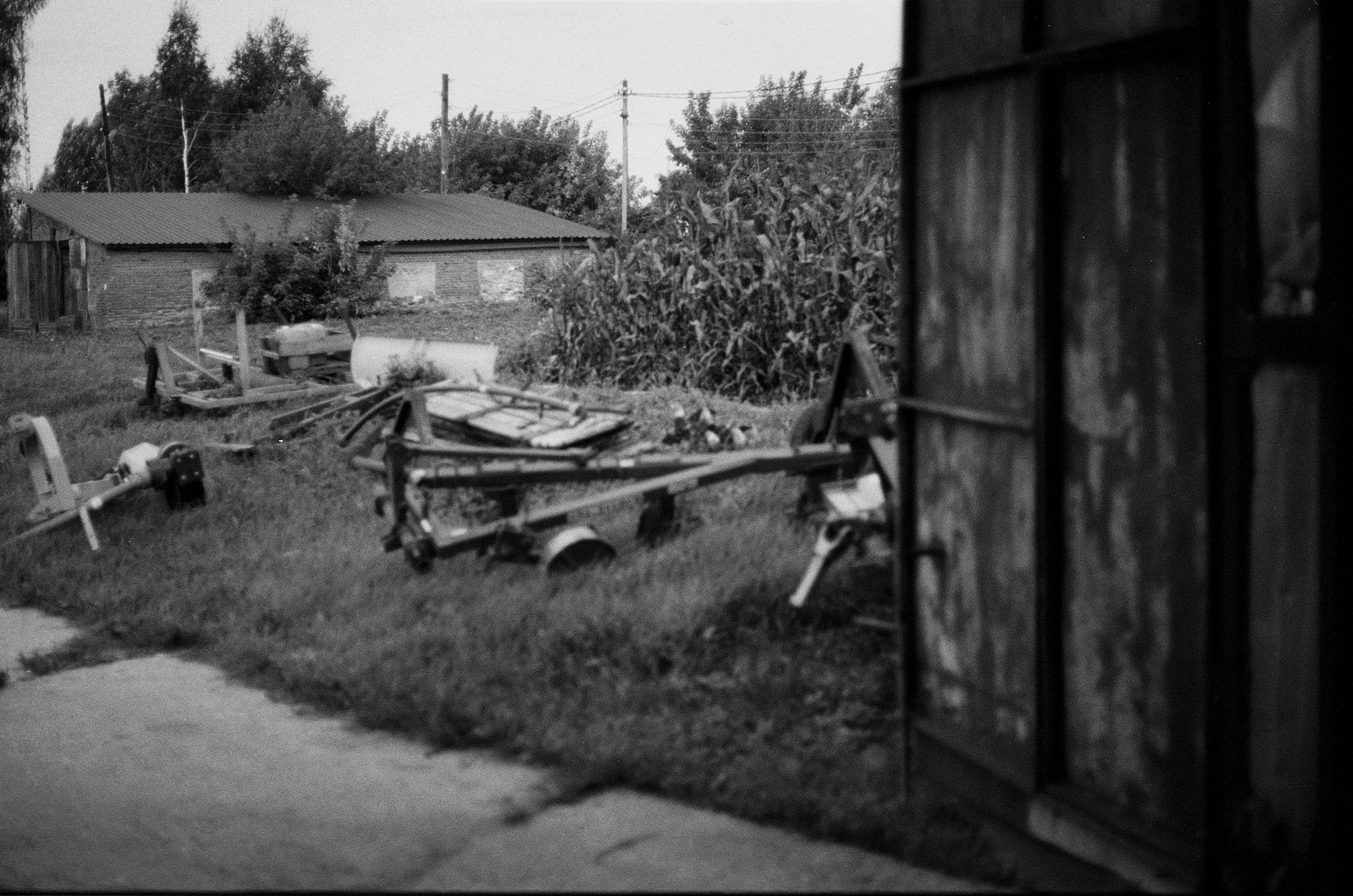 SuperFoodFarm. The history of the farm. Another person Pavel Potseluev. A photographer in 2025