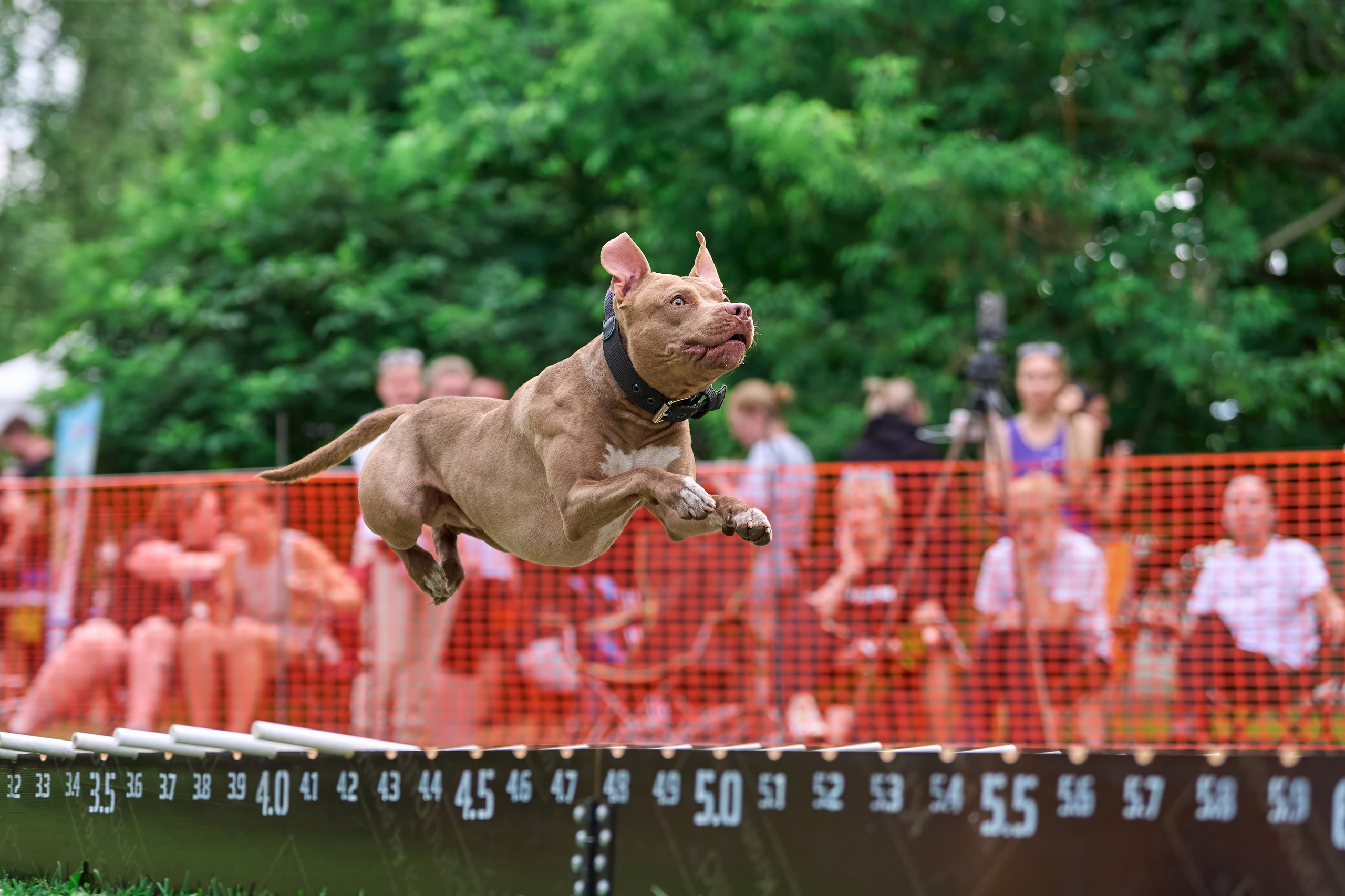 Двухдневные соревнования «Jump'n'Gym Fest — 2024». Фотограф-анималист Михаил Манухин