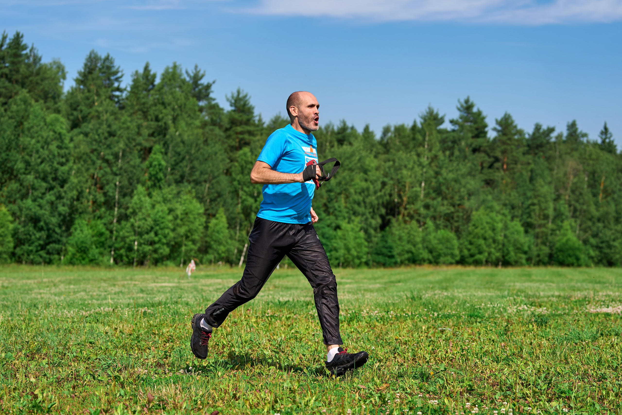 Тренировка по курсингу Донино. Фотограф-анималист Михаил Манухин