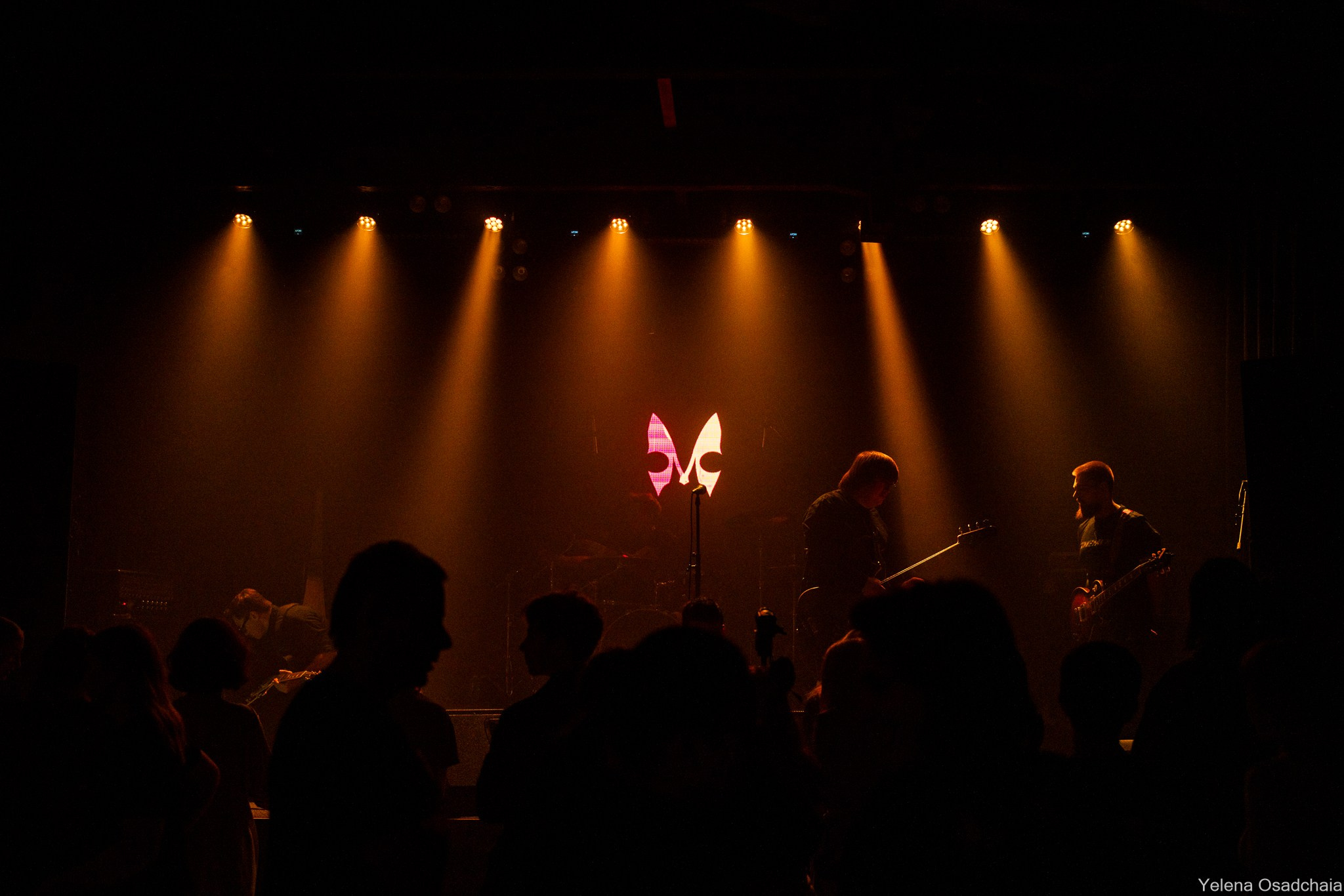 Махаон. Елена Осадчая — фотографирую музыку на сцене и в жизни