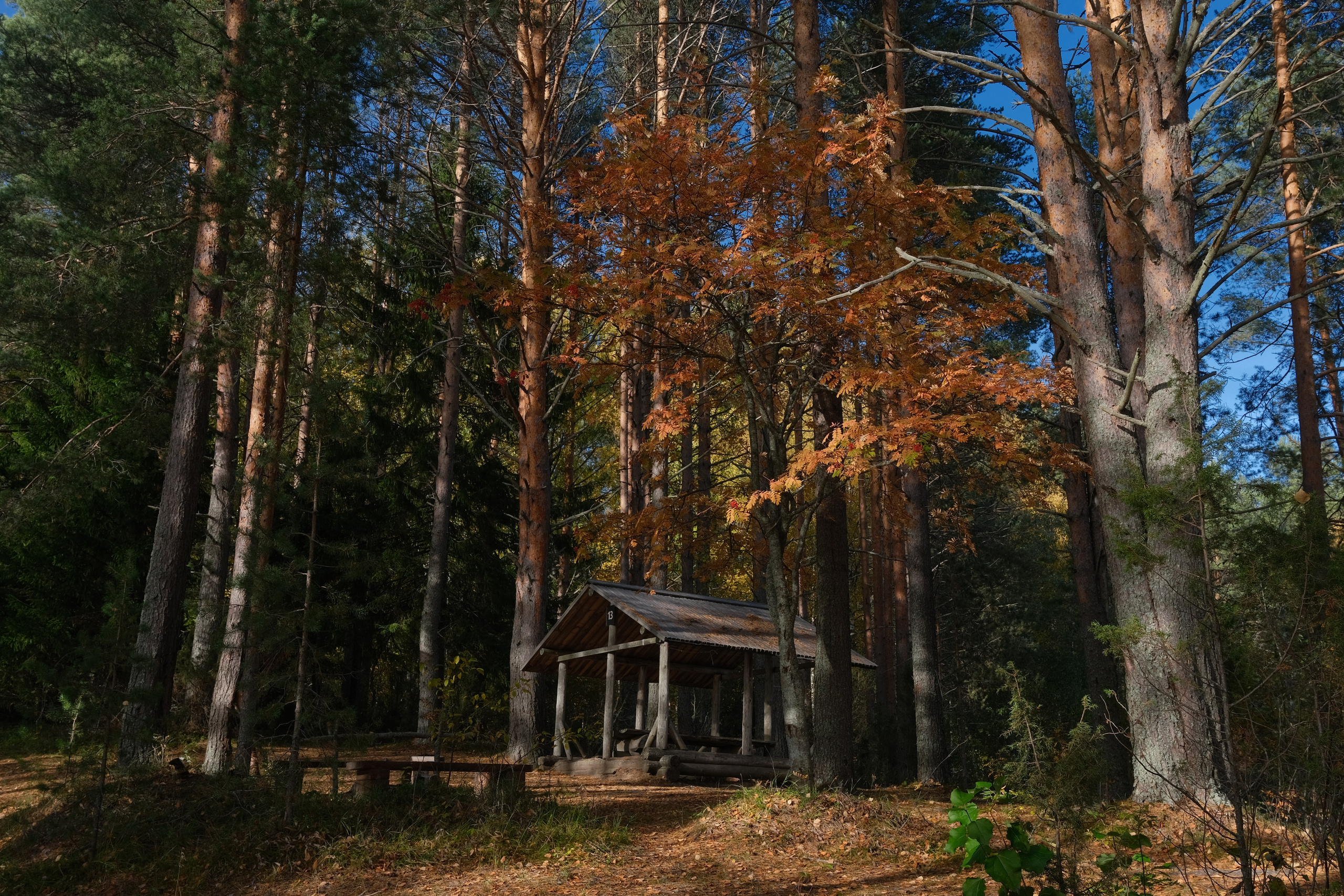 Русский север 27.09.25 — 05.10.25. Фотострелка