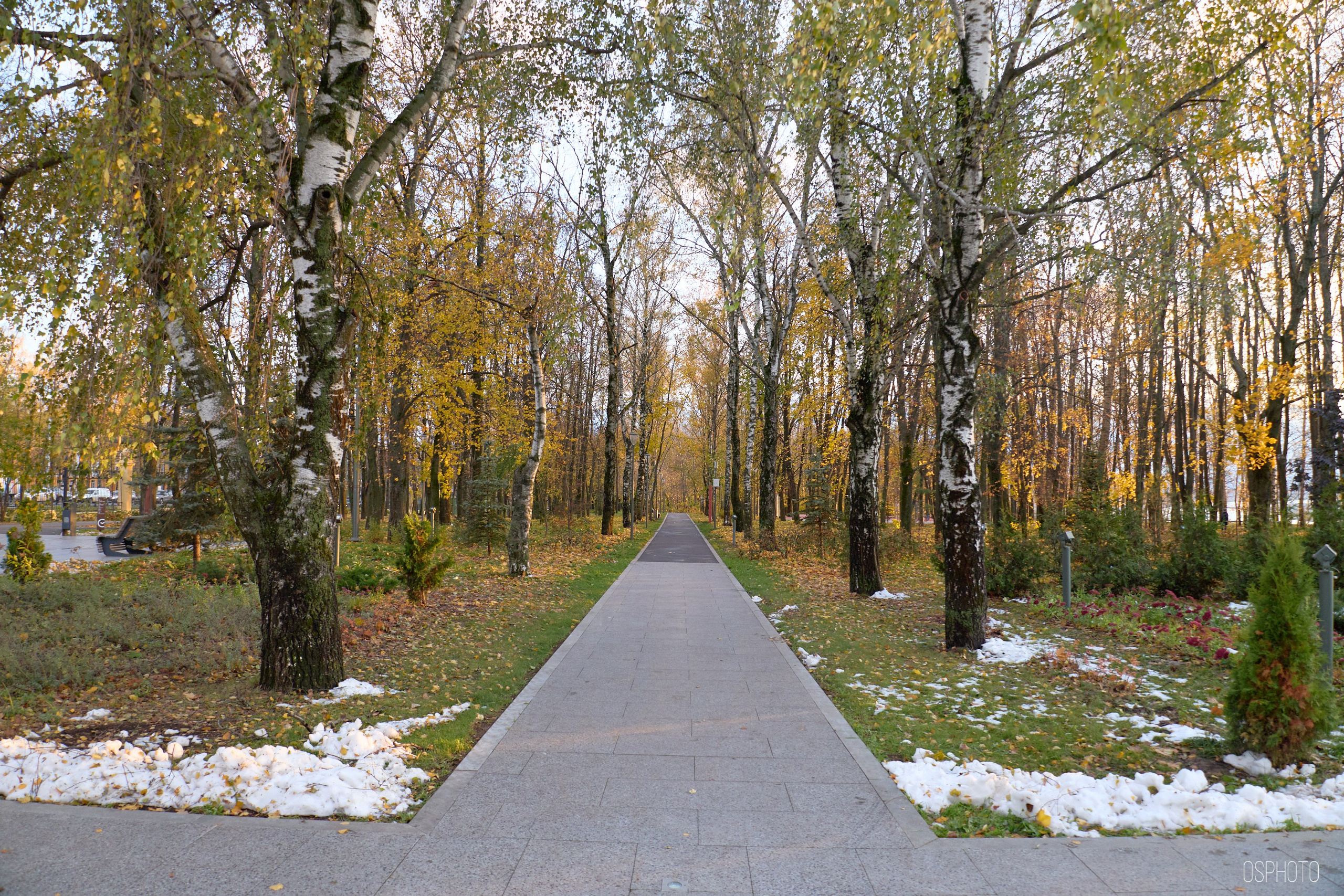 Нижний Новгород. Фотографъ Сергѣевъ. Поймать мгновеніе