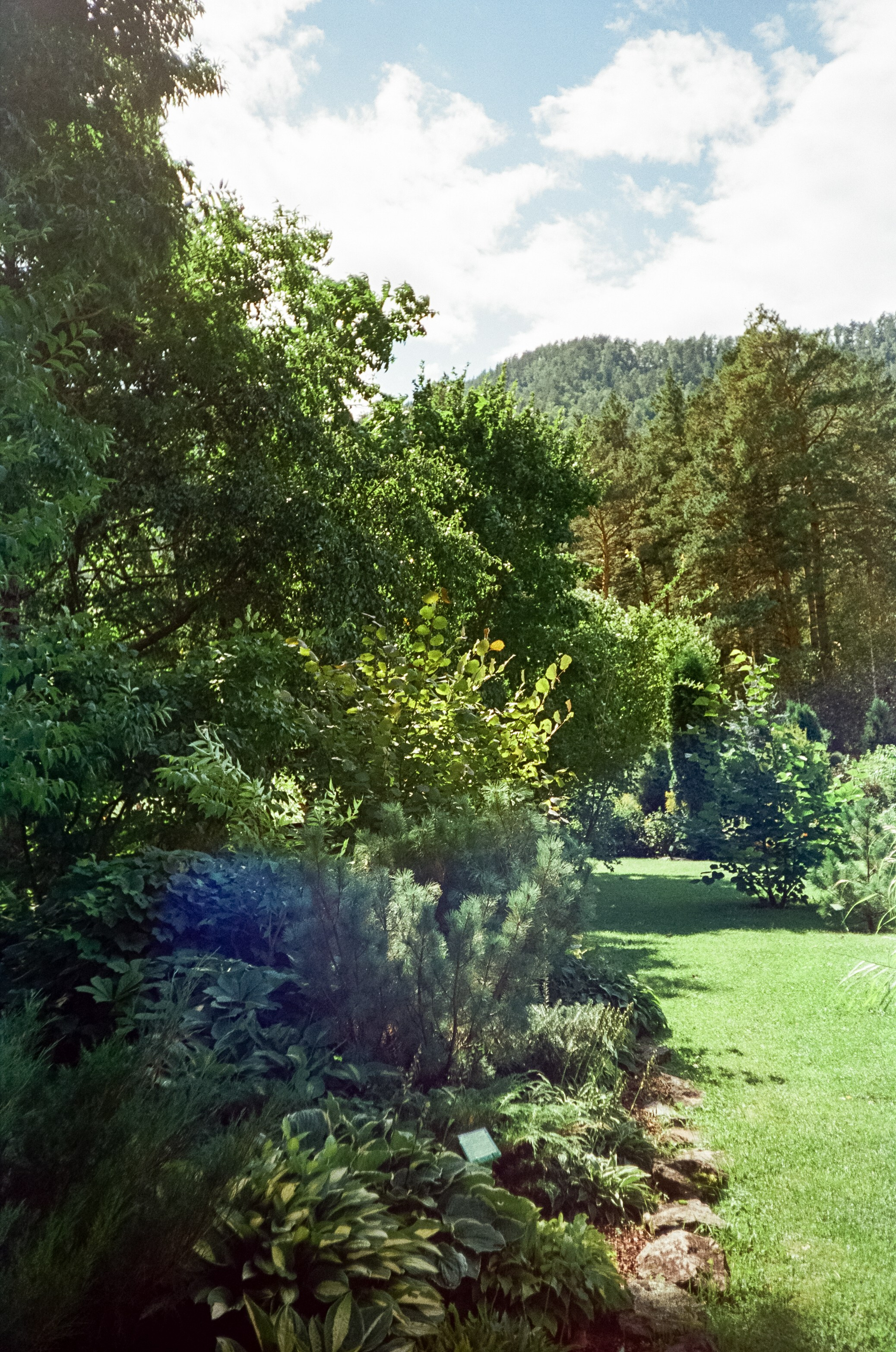 Ботанический сад в солнечный день. Фотограф-документалист Мария Осокина