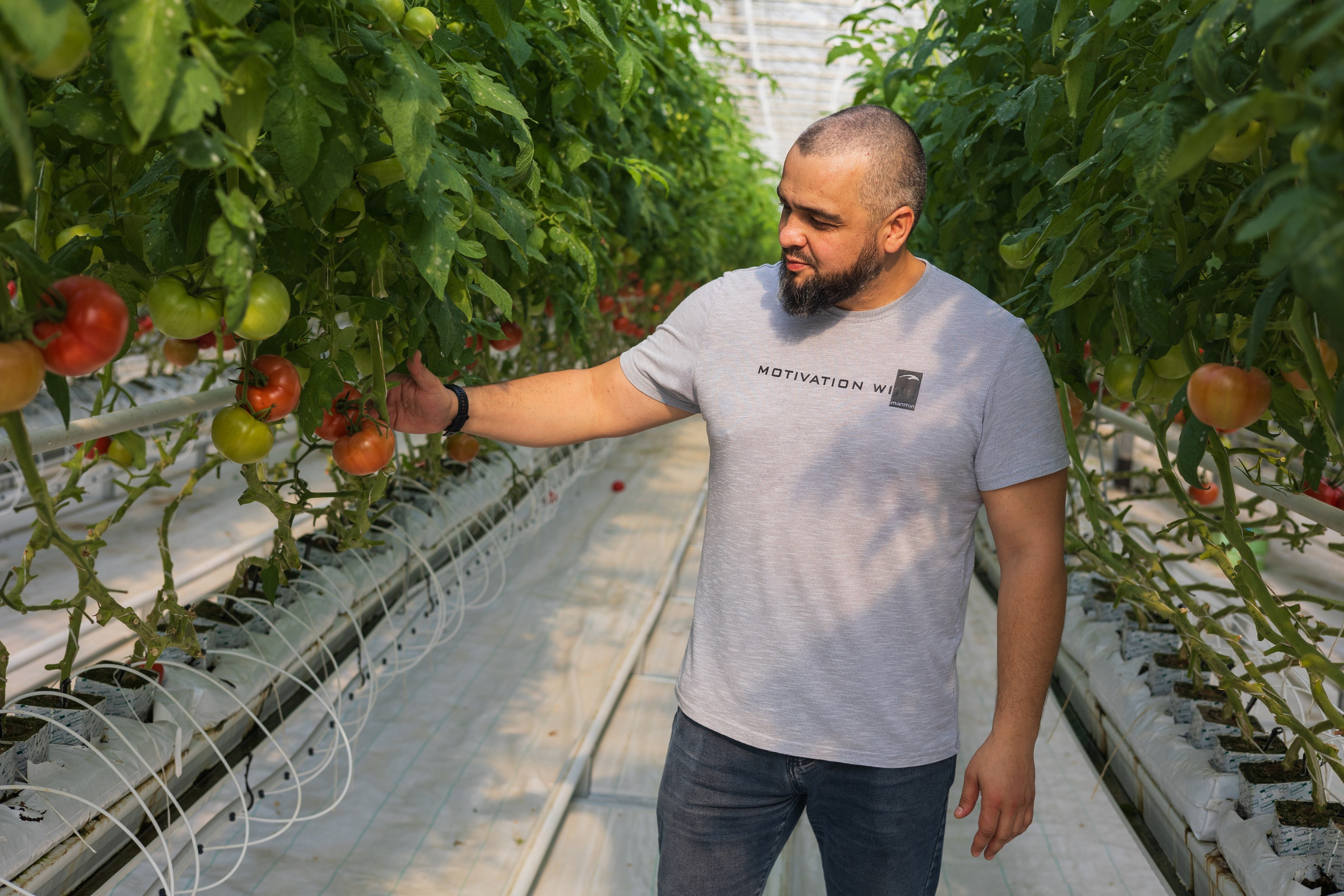 БИОЭНЕРГИЯ — Производство субстрата для теплиц, маты для выращивания