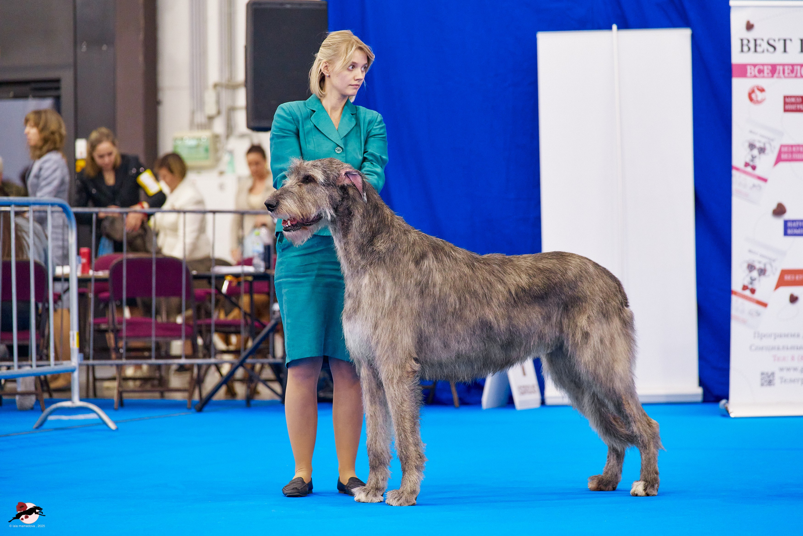 ГРАН ПРИ «ВЕСЕННИЙ ПЕТЕРБУРГ» & «СУПЕР КУБОК «ЭЛИТЫ»-2025»
