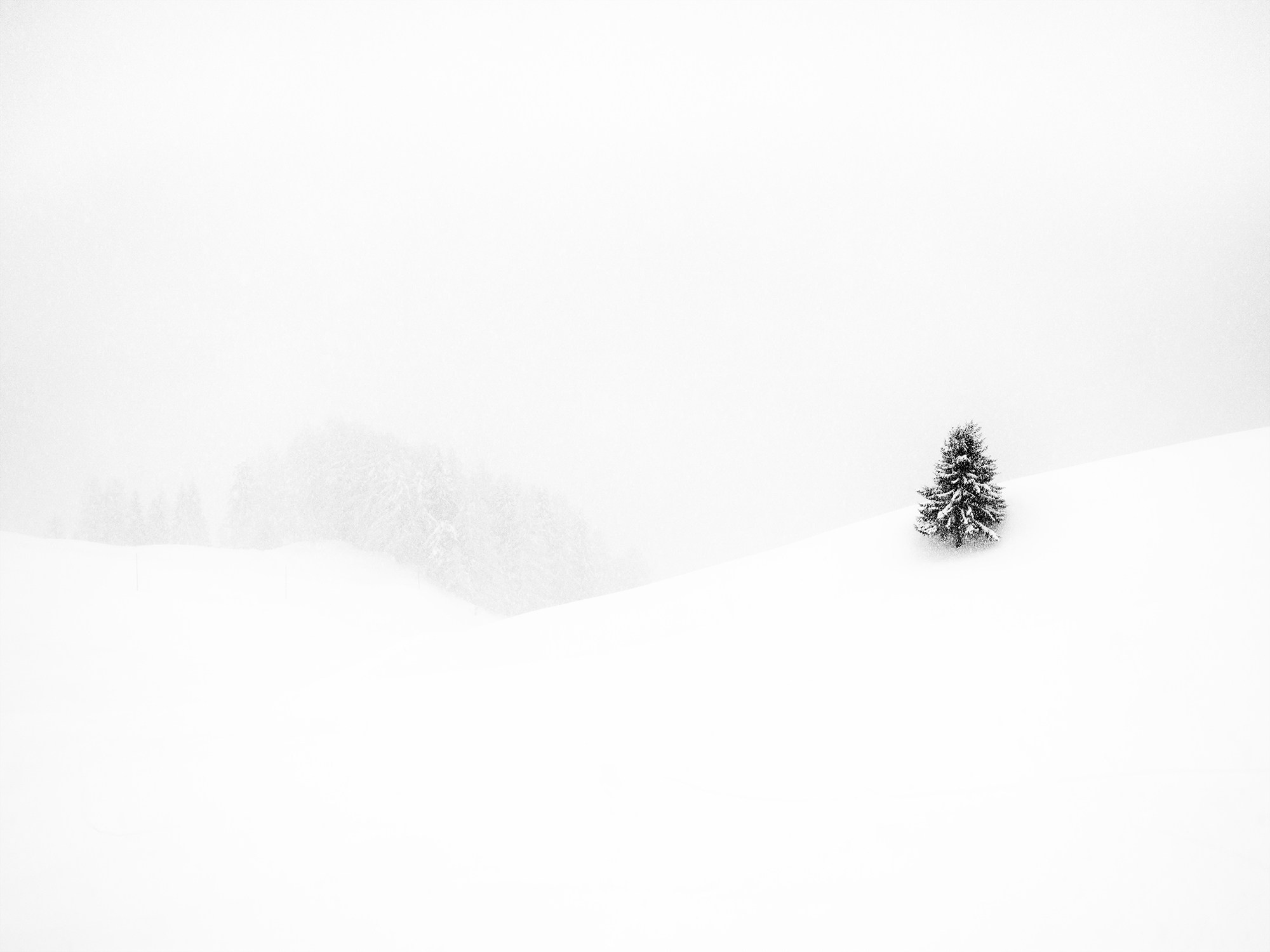 Dolomites. Vasiliy Riabovol — Fine Art Photographer | Time, Space, and Silence