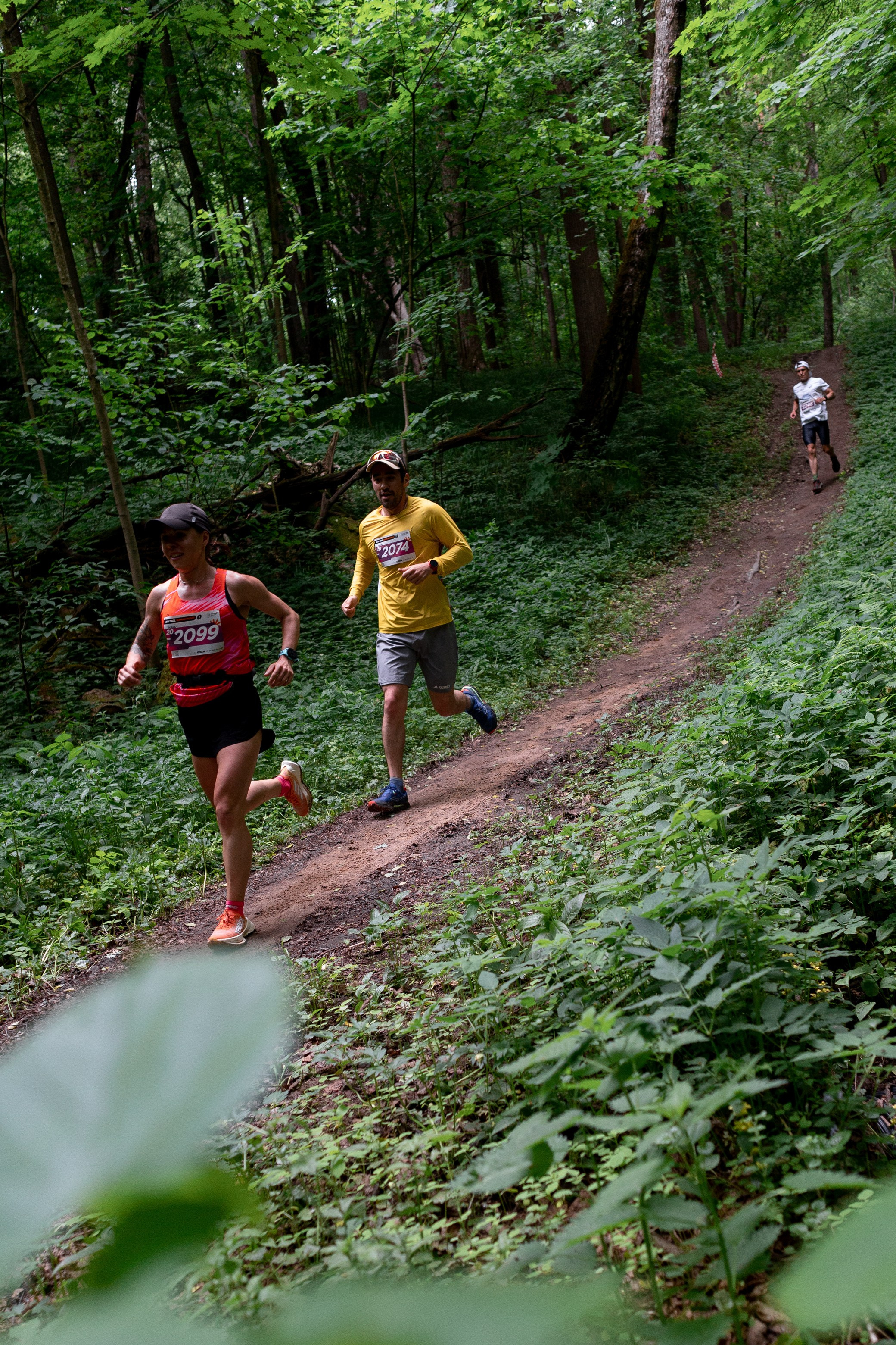 CityTrail Ромашково