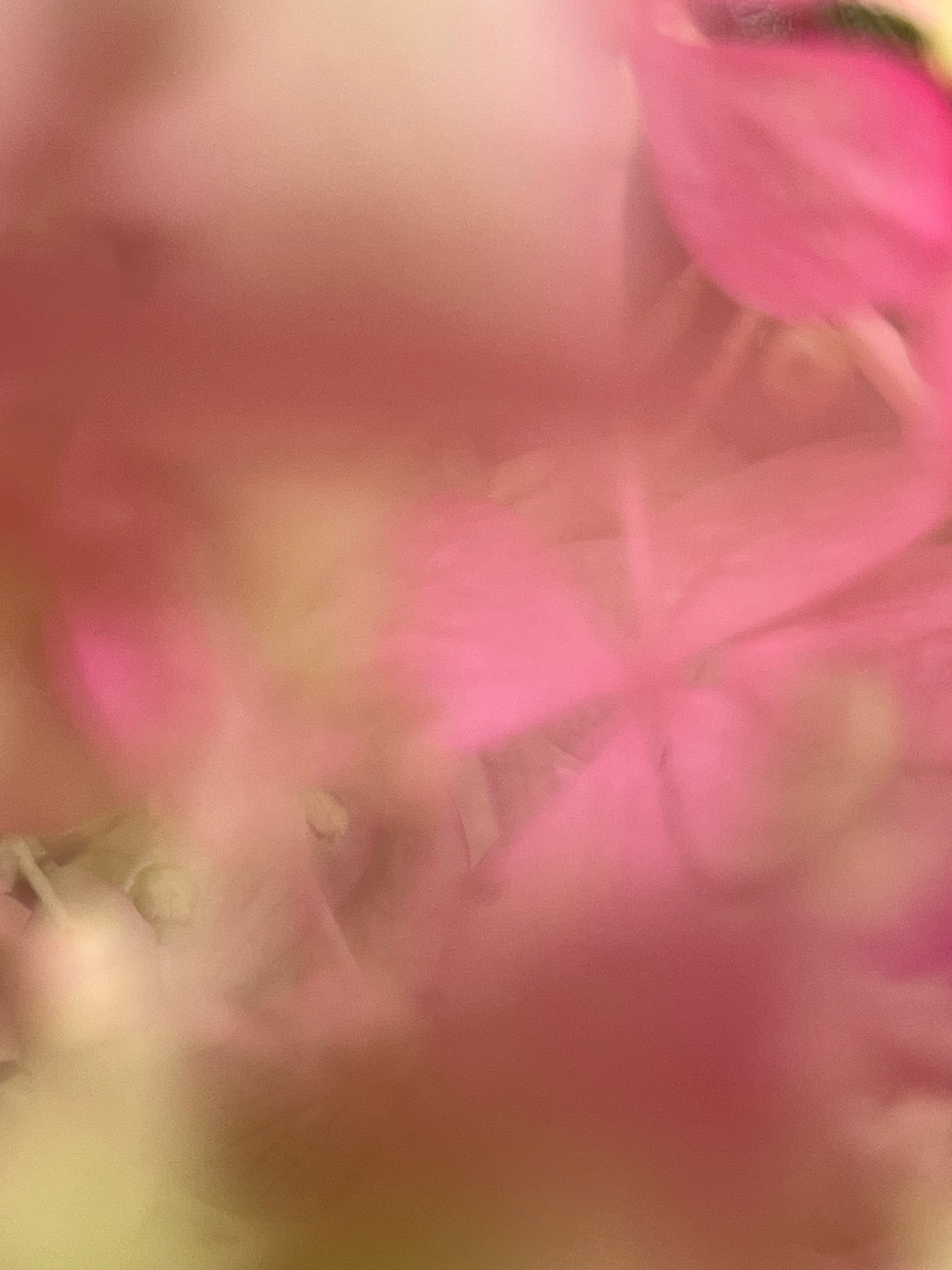 Связь двух миров. Нежность