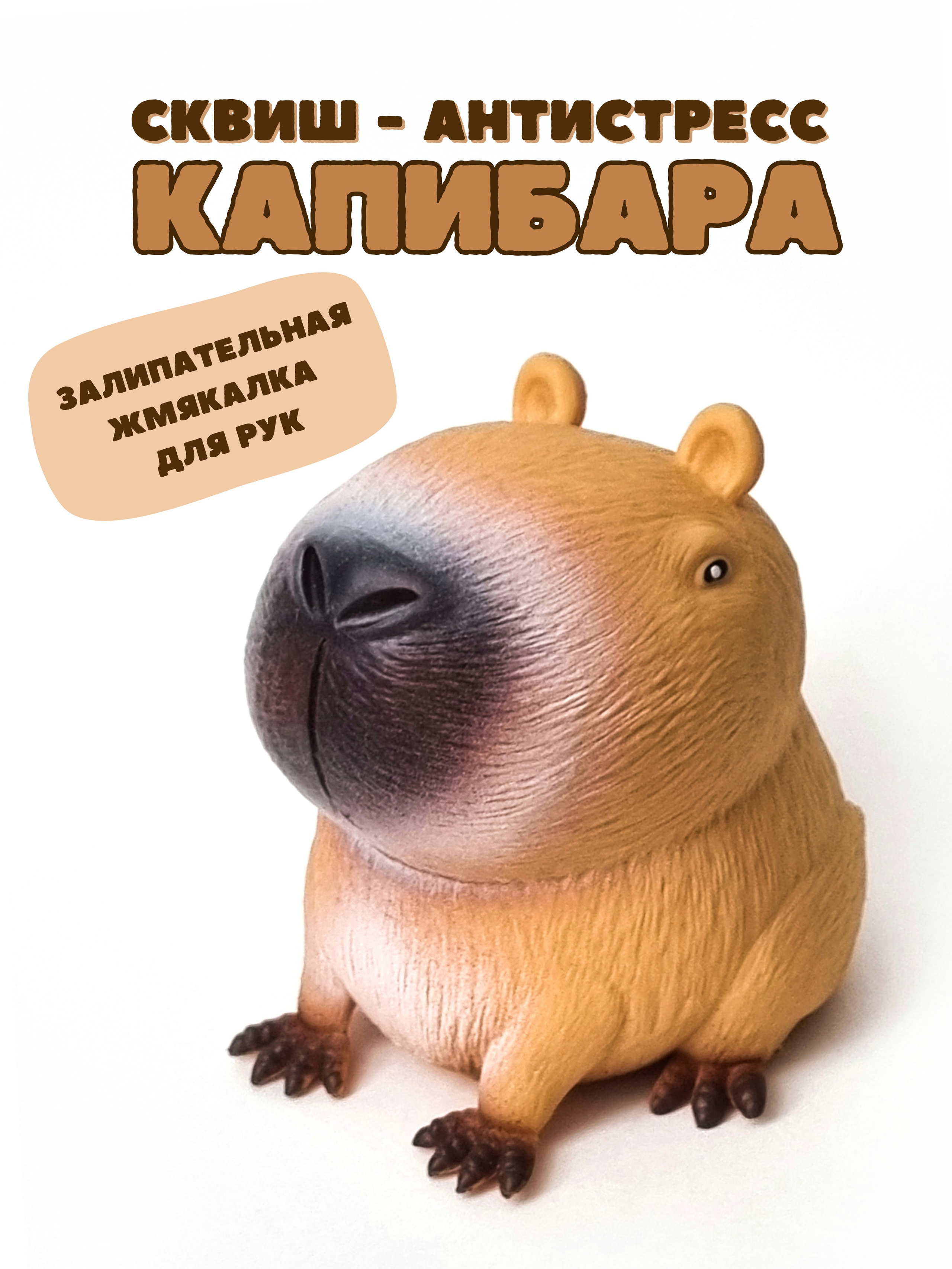 СКВИШИ антистресс. Женский, семейный и контент-фотограф в Оренбурге Анна Соловых