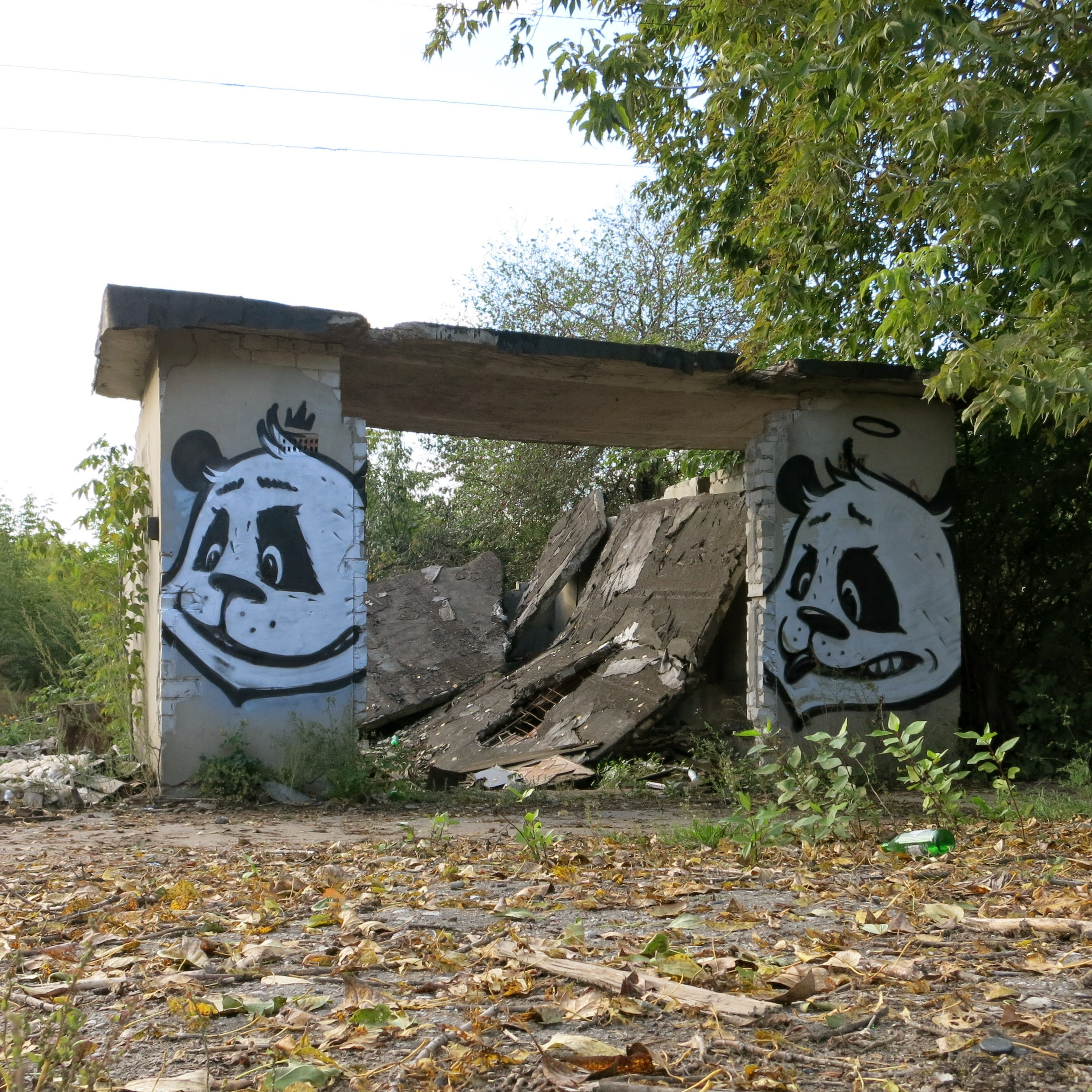 Graffiti. Alexander Stan Shimanov