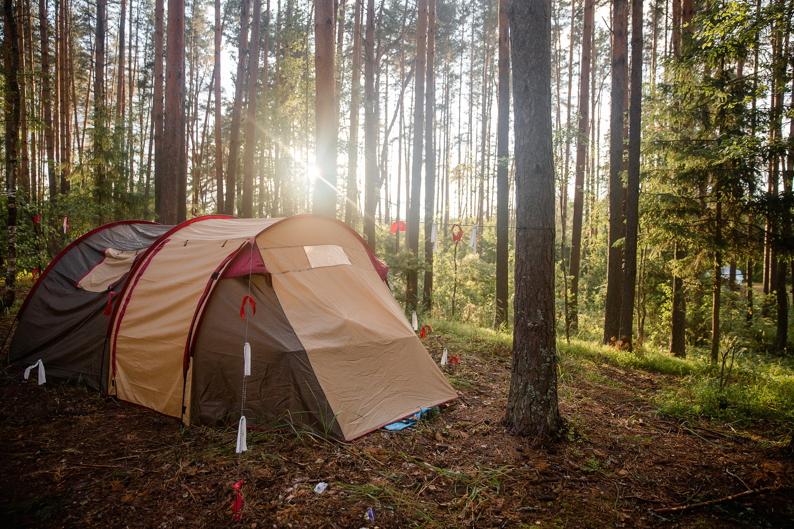 Лагерь православных следопытов в Тверской области, Дудино. Семейный и детский фотограф в Москве Вера Ускова