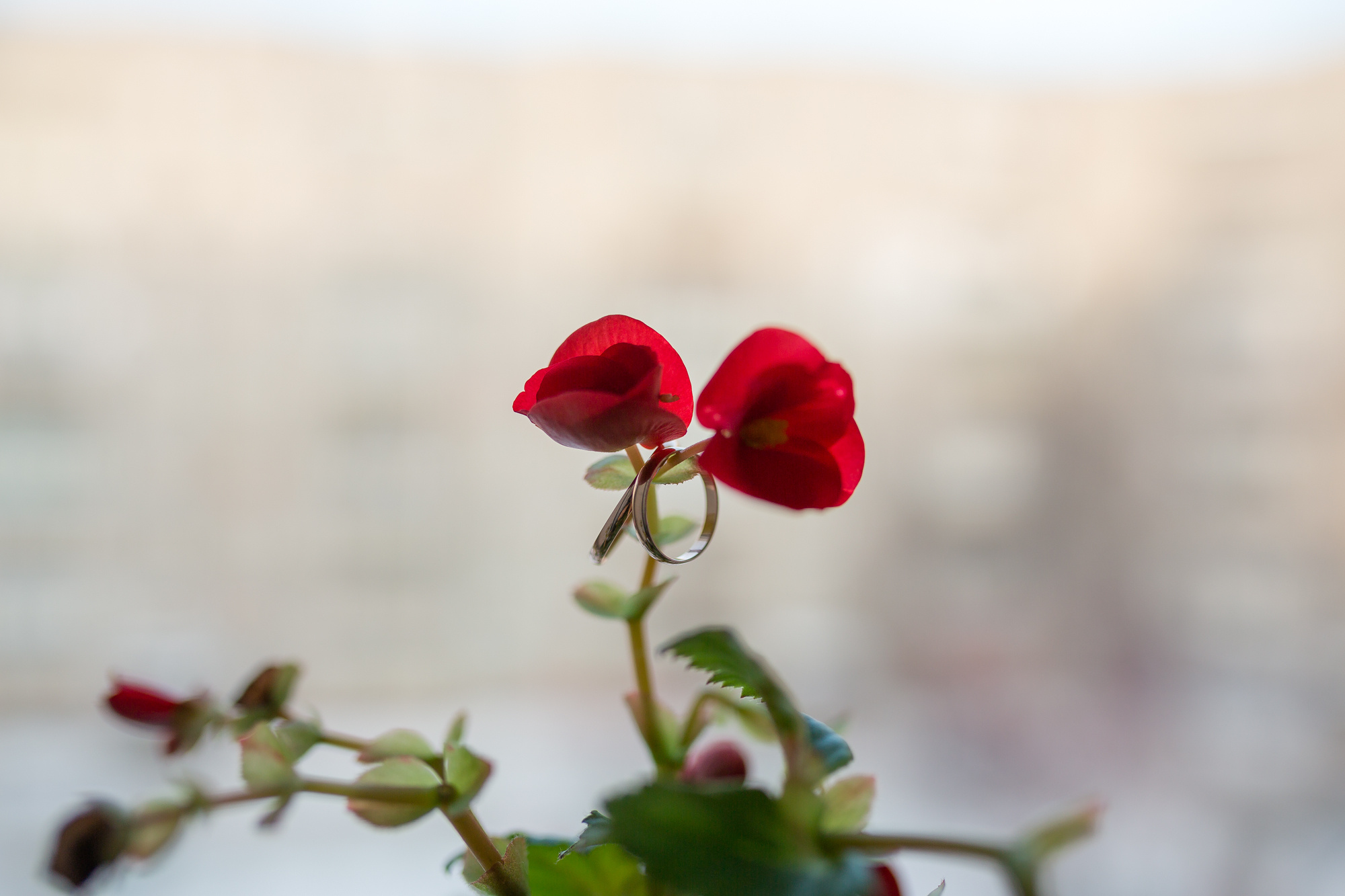 Фотограф в Ярославле1165