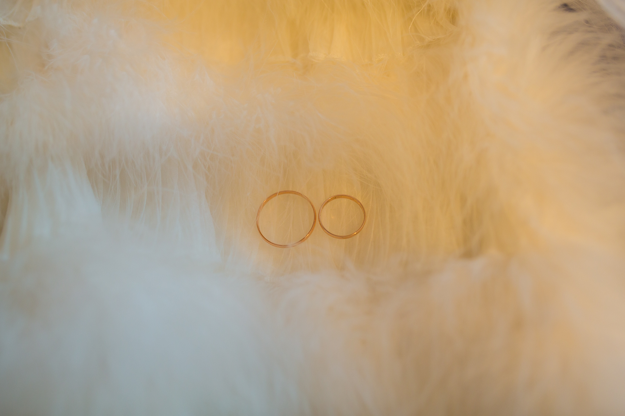 Александр и Евгения. Фото история свадьбы. Фотограф в Ярославле | Фотосессия, фото-видео съемка