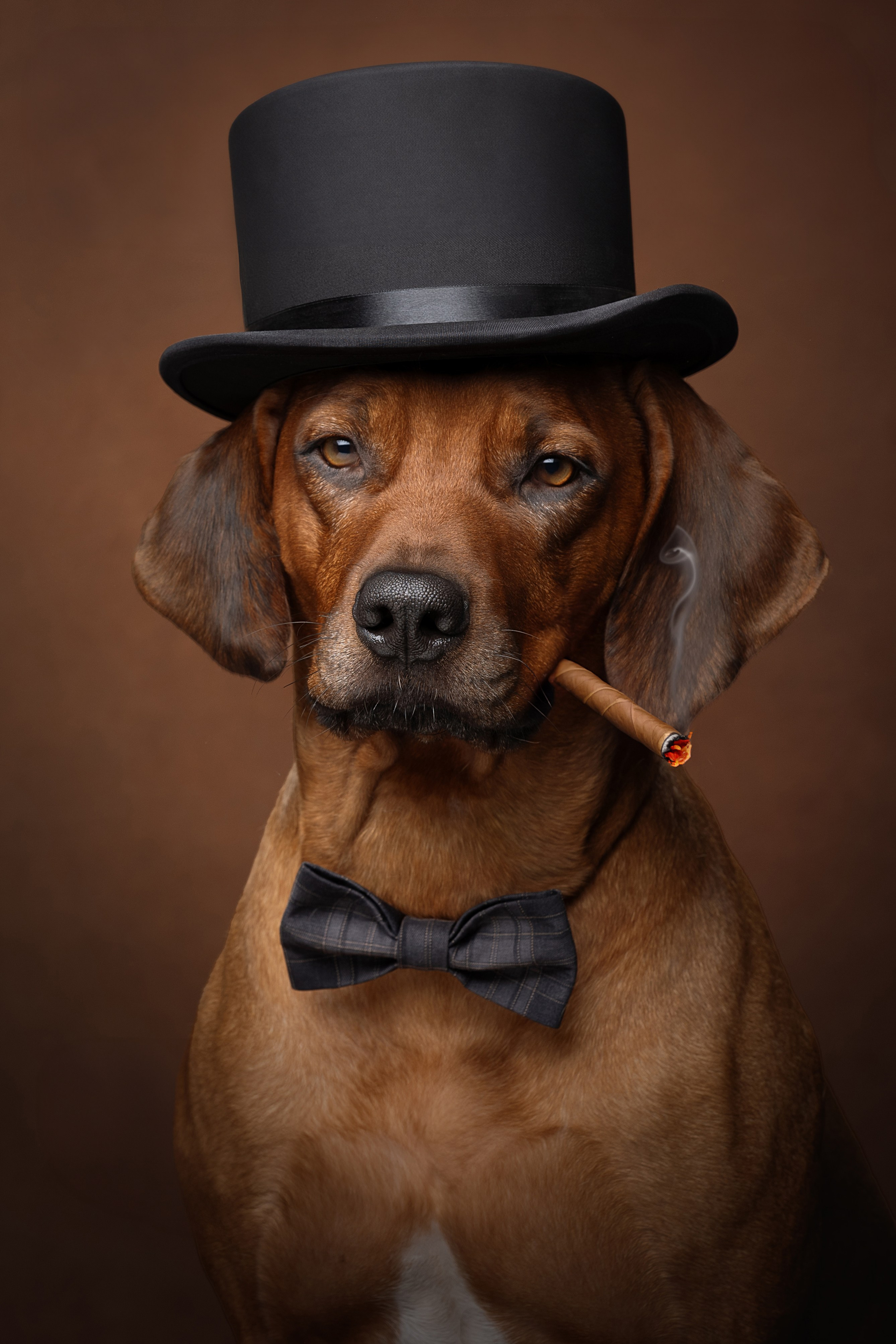 Фотограф анималист в Санкт-Петербурге Светлана Писарева