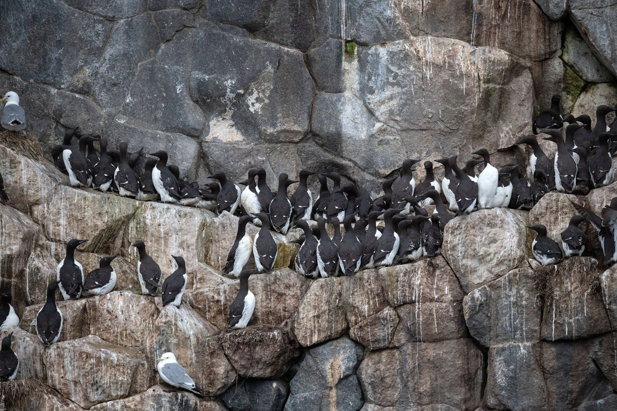Фотоэкспедиция по Шантарам, к острову Ионы и полуострову Кони