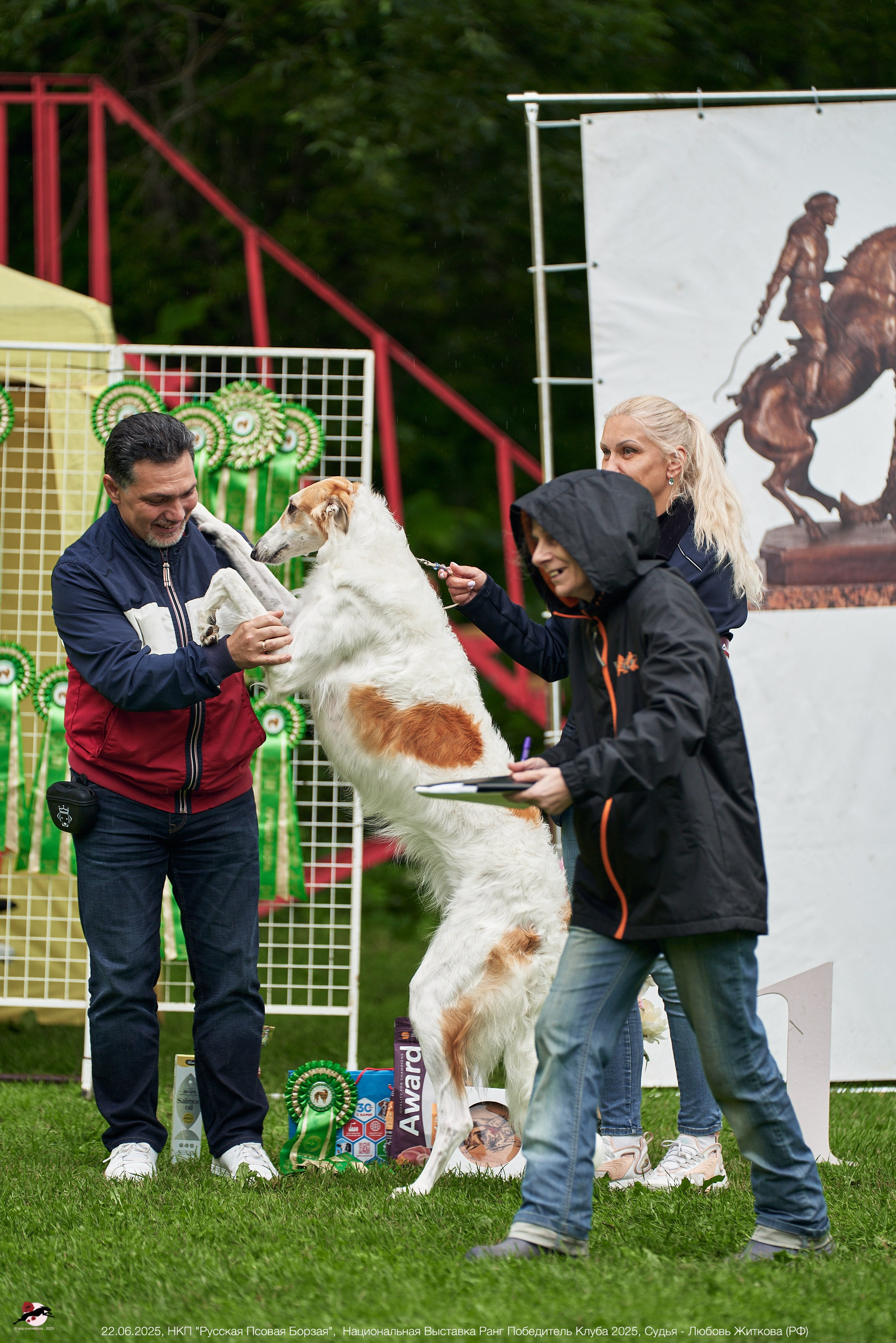 22.06.2025 | Национальная Выставка НКП "Русская Псовая Борзая"