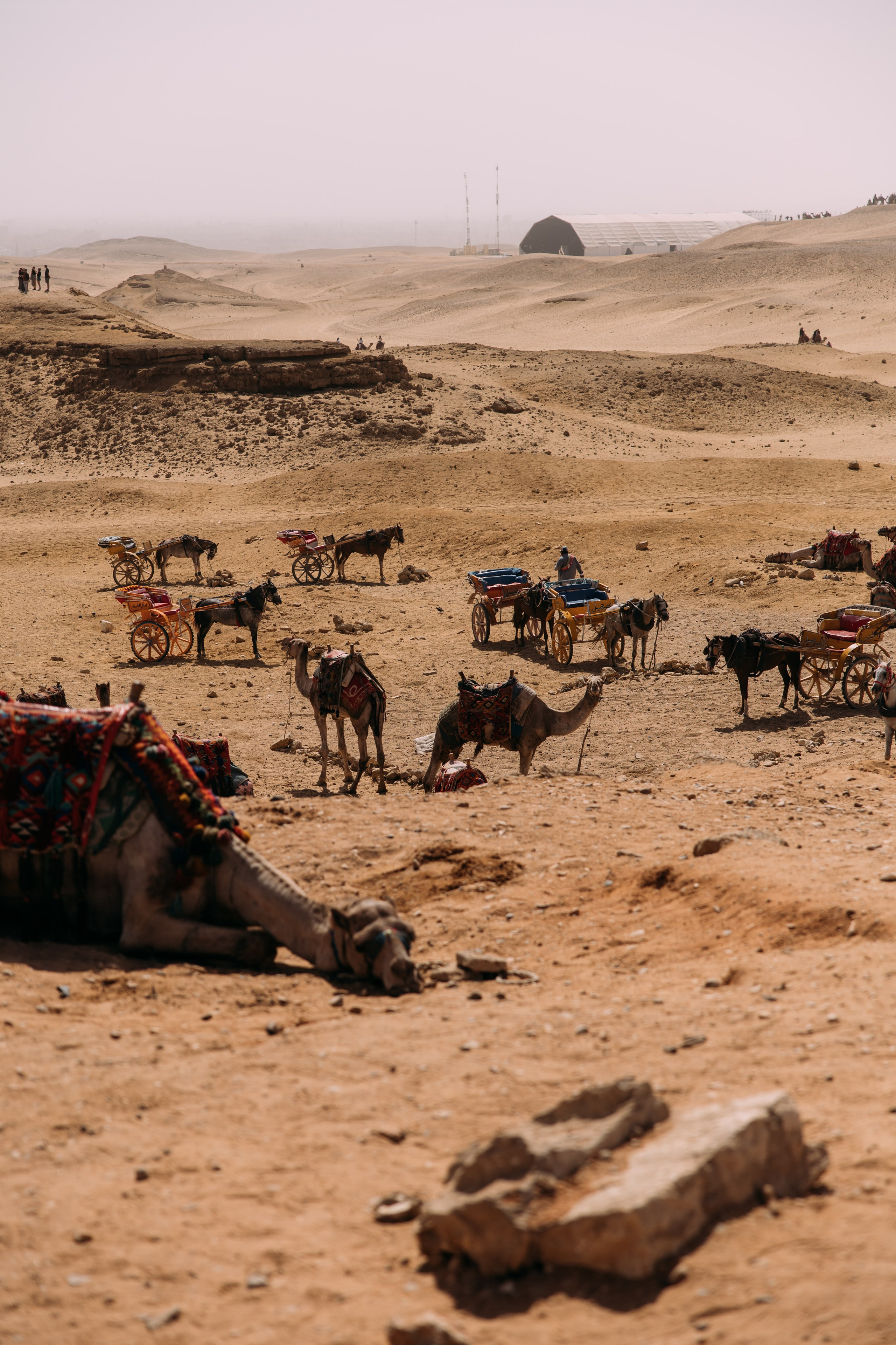 Фотограф Марина Аблаева-Кожедуб