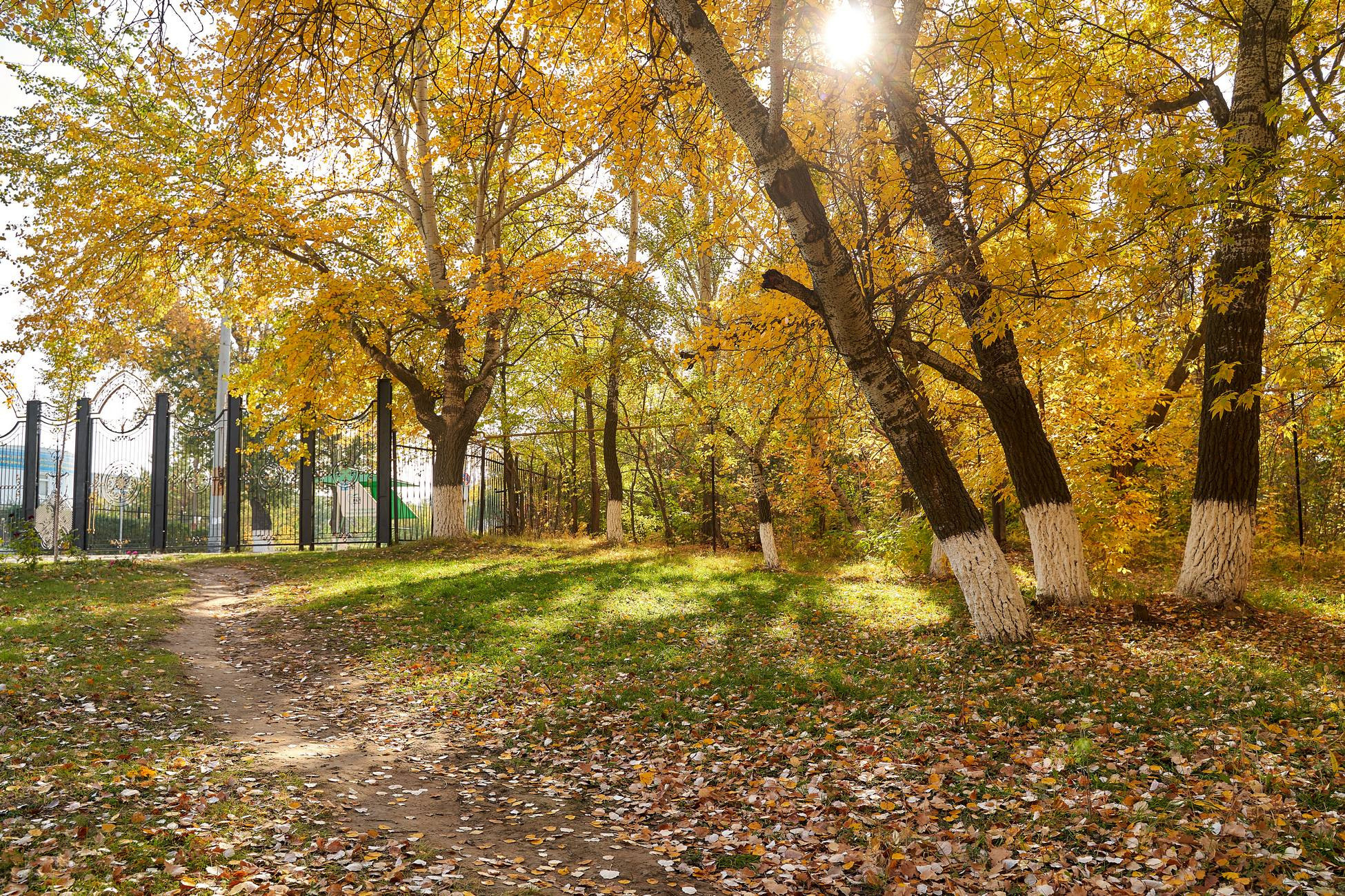 Асия на природе. Фотограф в Уральске Александр Хохлачёв | HOHLACHEV.COM
