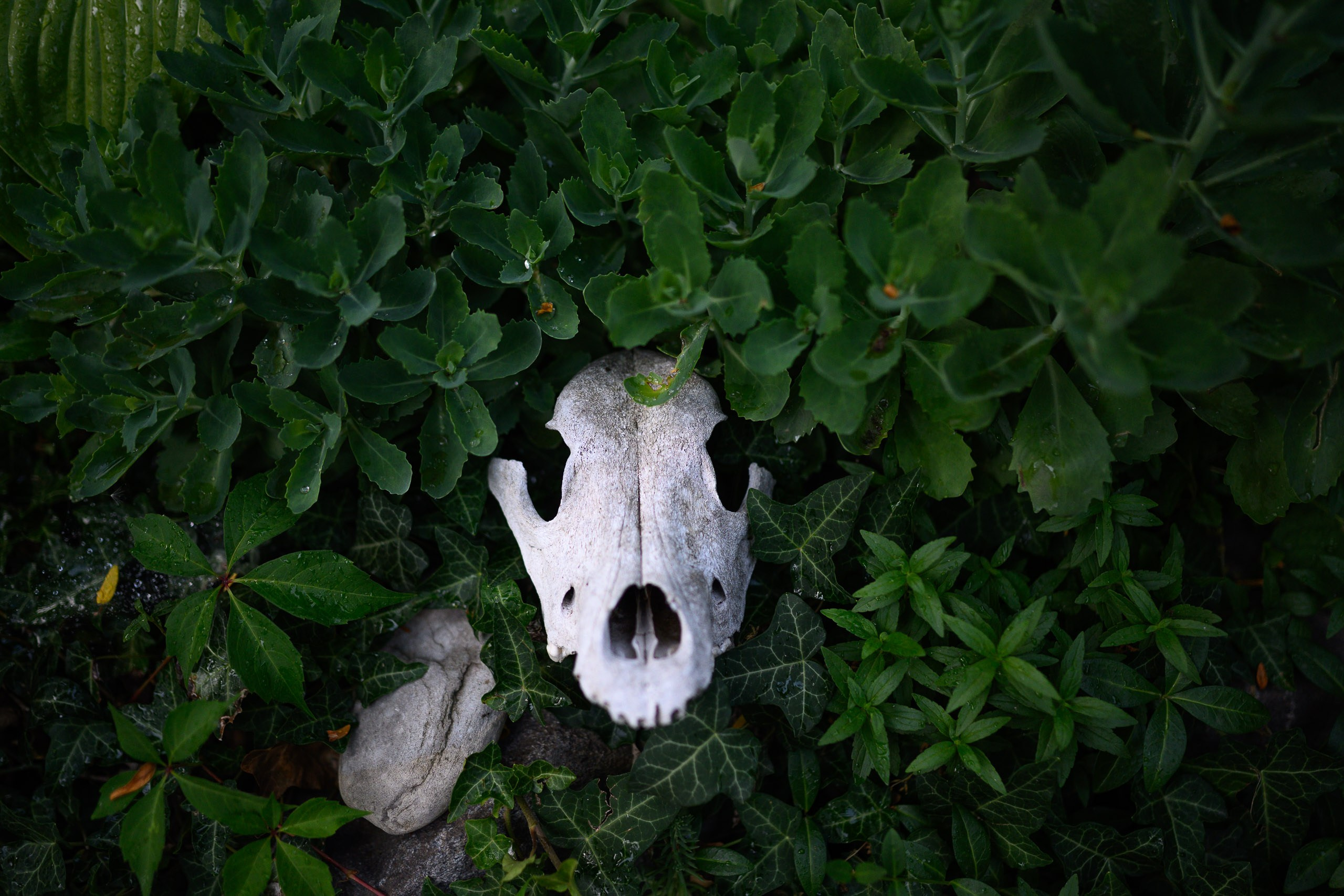 Визуальные заметки