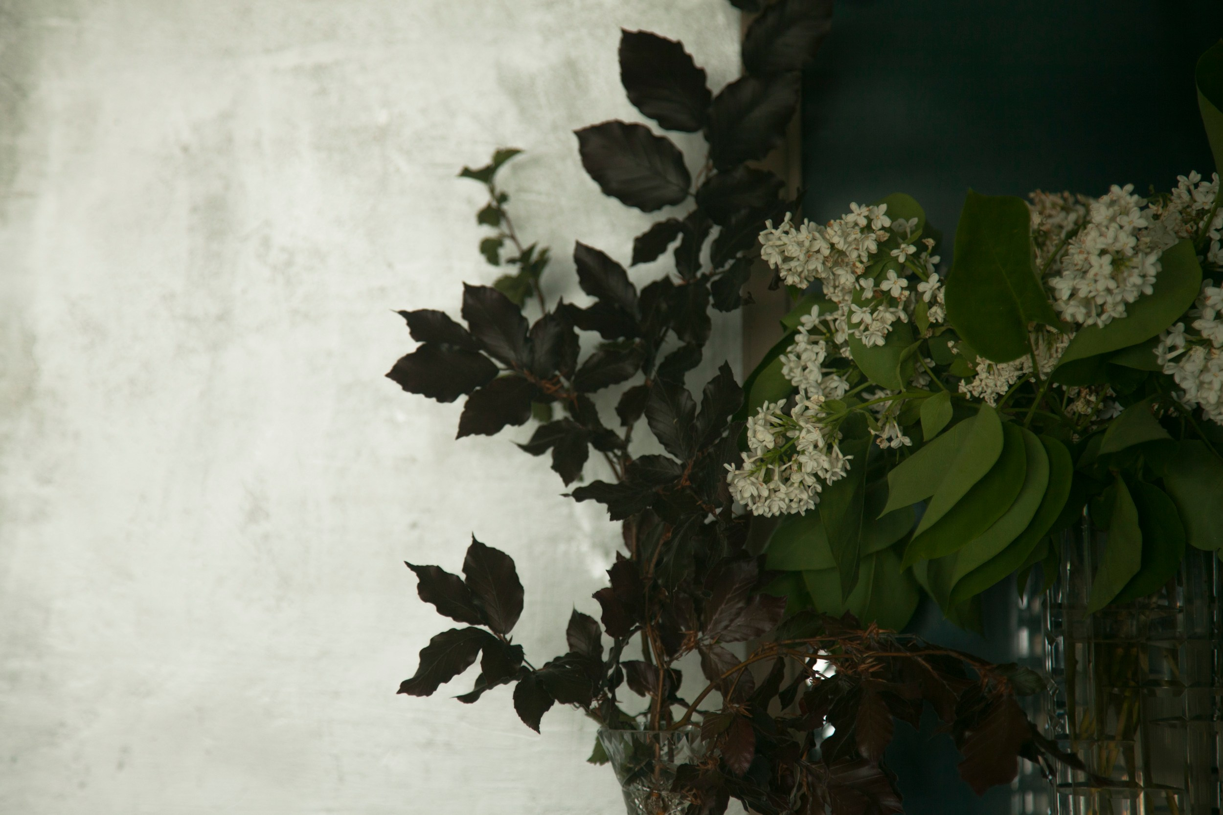 Portraits. Елена Цихон художник фотографии и мастер фото-ДНК