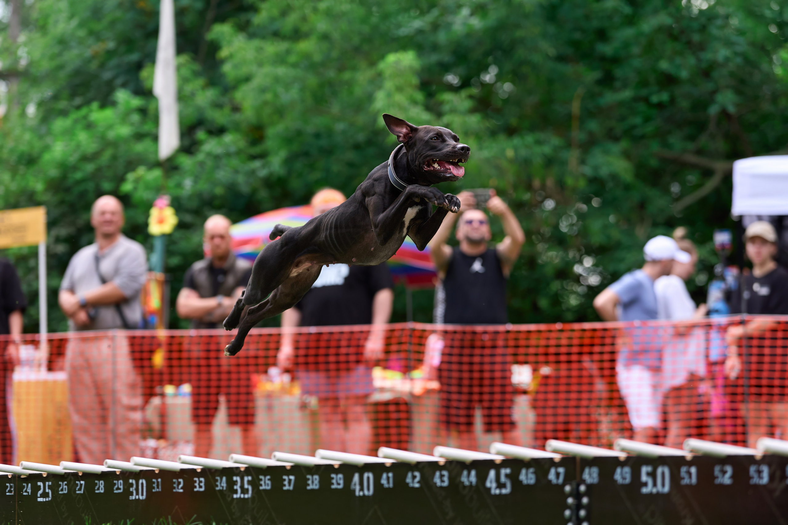 Jump'n'Gym JUMP! — 2024. Фотограф-анималист Михаил Манухин