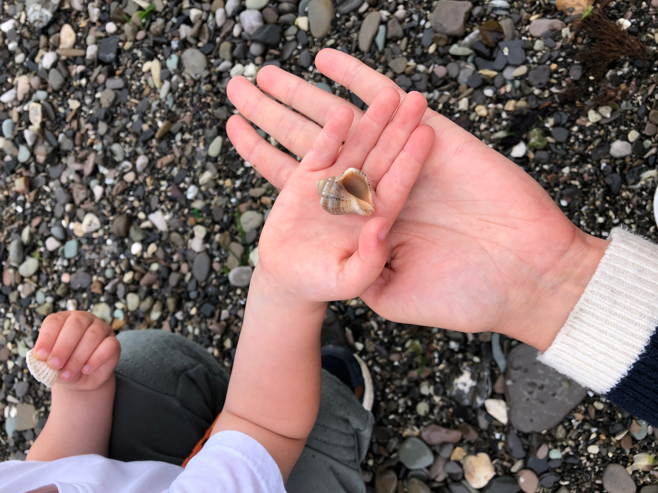 Урок «Мобильная фотография для мам». Семейный фотограф Санкт-Петербург СПб Митрофанова Ольга