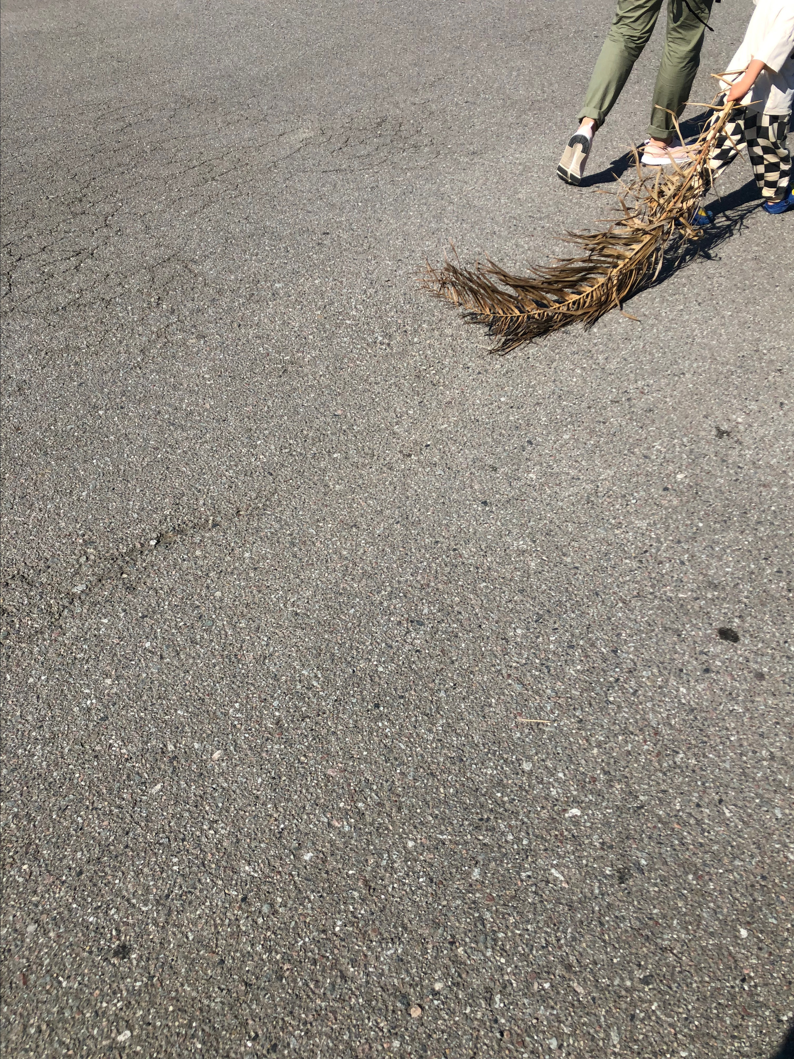 Урок «Мобильная фотография для мам». Семейный фотограф Санкт-Петербург СПб Митрофанова Ольга