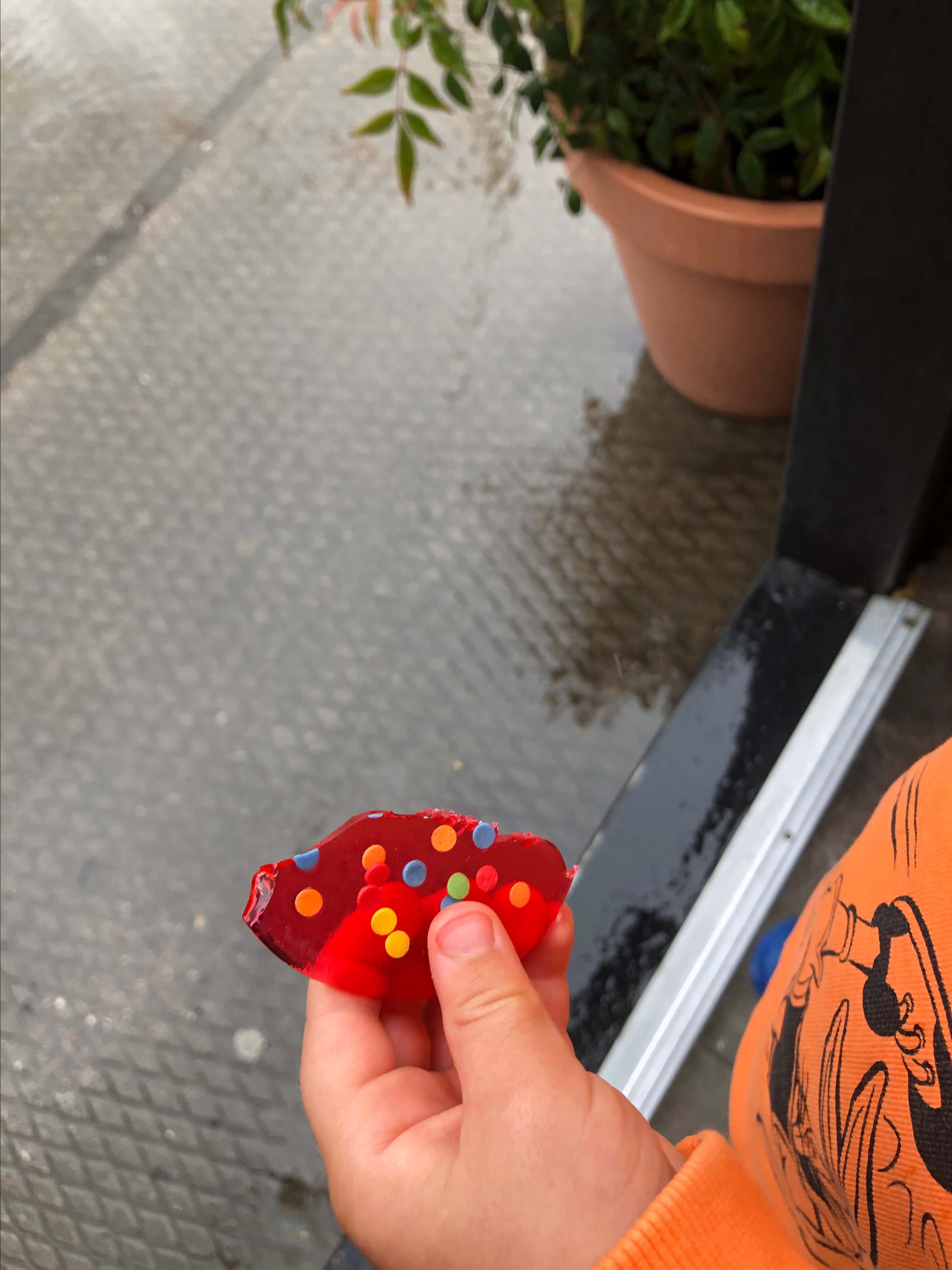 Урок «Мобильная фотография для мам». Семейный фотограф Санкт-Петербург СПб Митрофанова Ольга