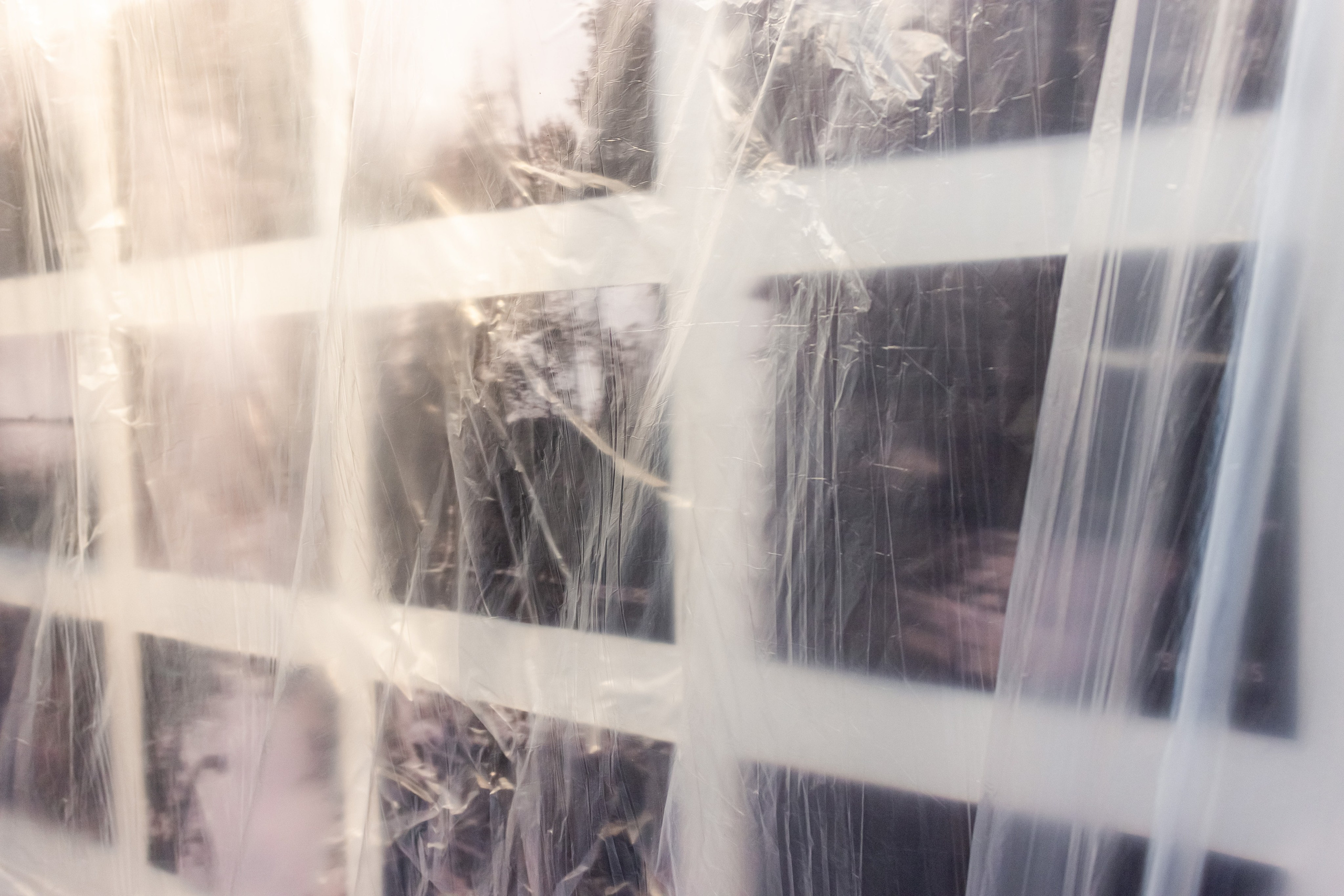 Динотопия. Козлова Екатерина. Междисциплинарная визуальная художница