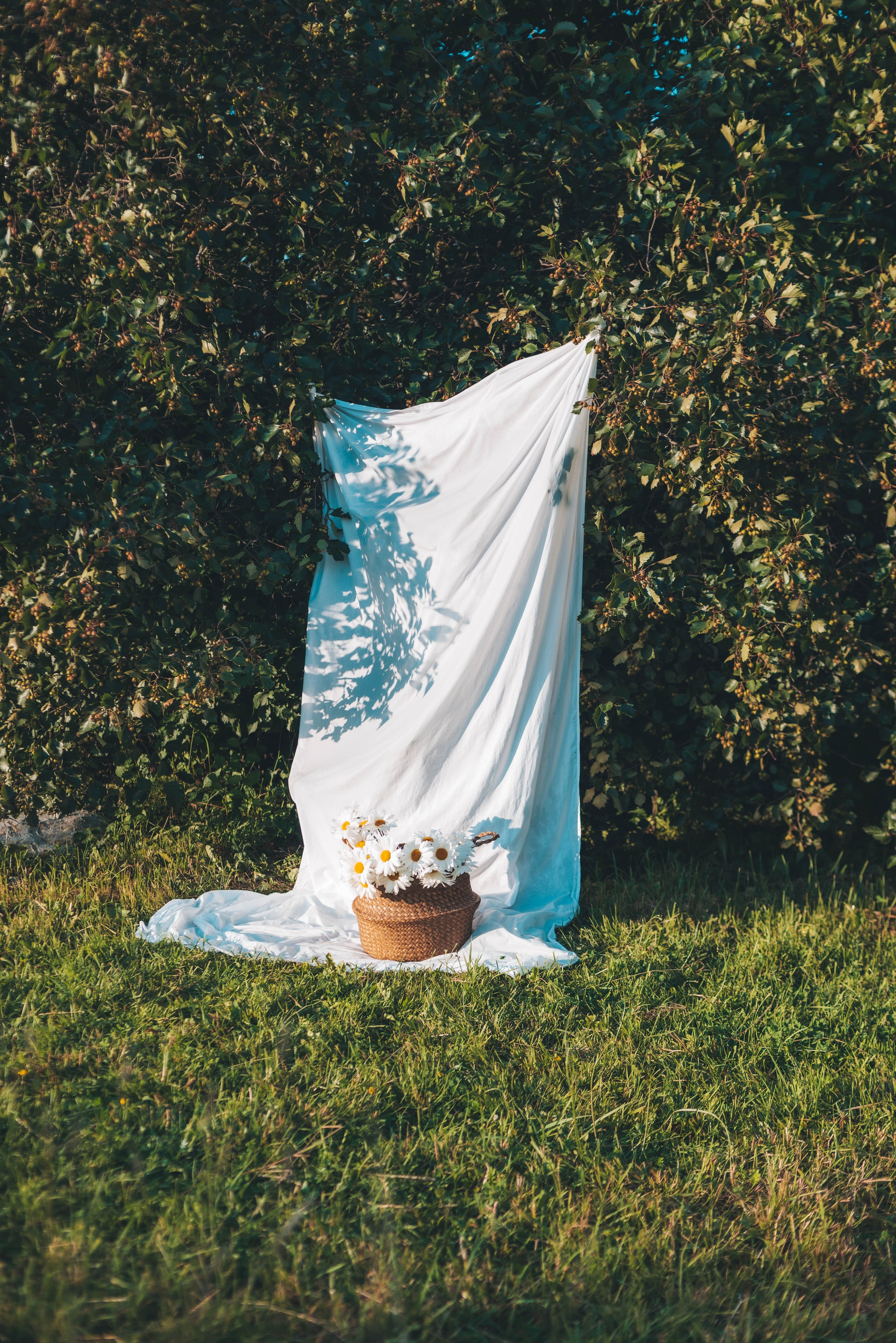 Уличная фотосессия для Ульяны. Фотограф в Санкт-Петербурге Марина Парникова