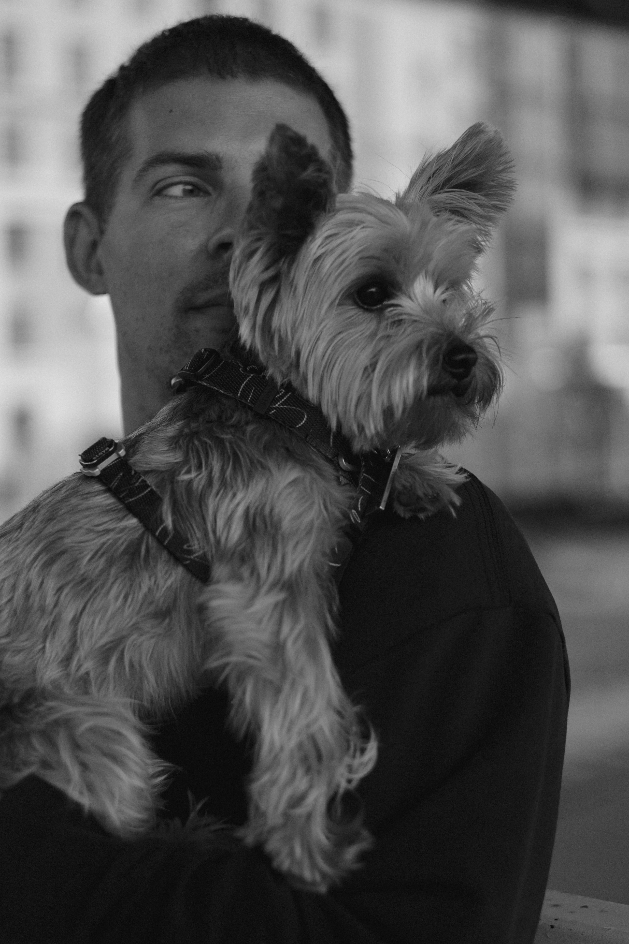 Андрей, Аня и Персик. Фотограф — анималист •love-story•|Санкт-Петербург