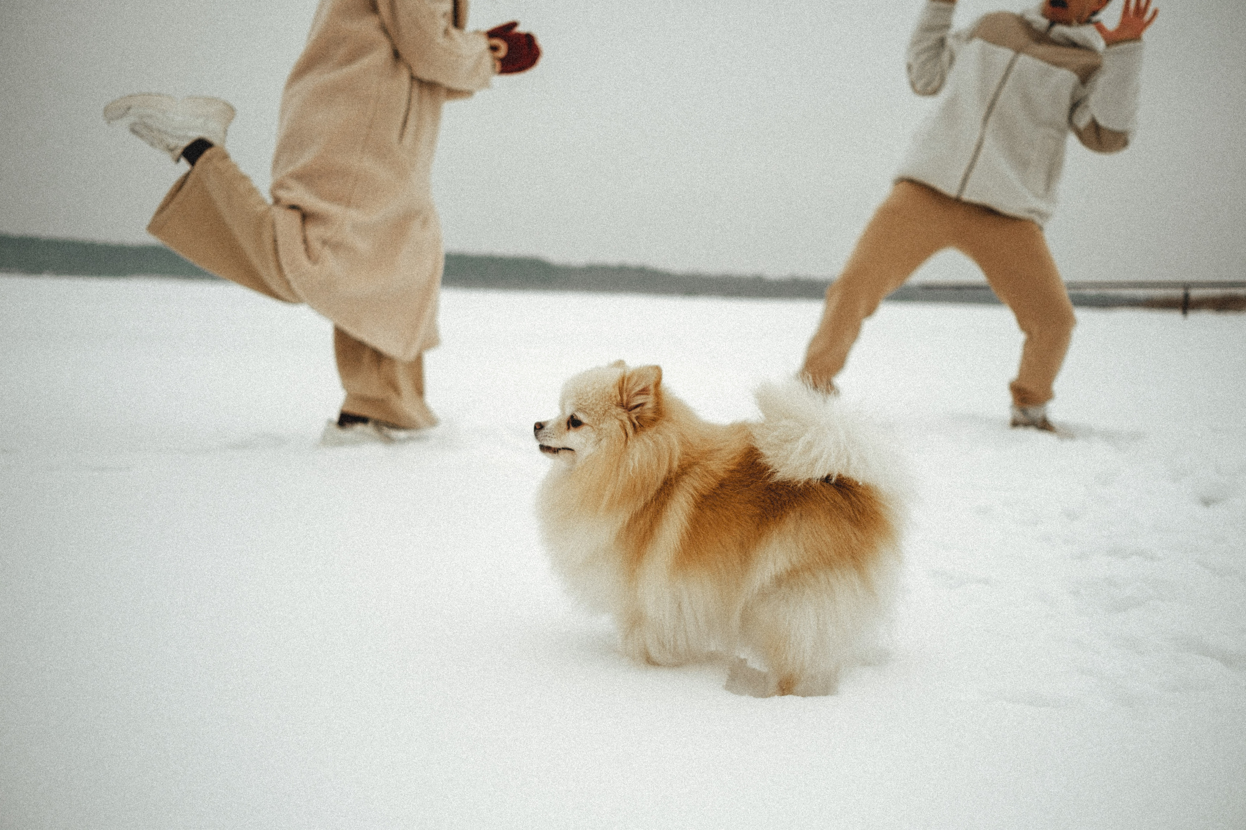 Фотография. Дина Шаткова