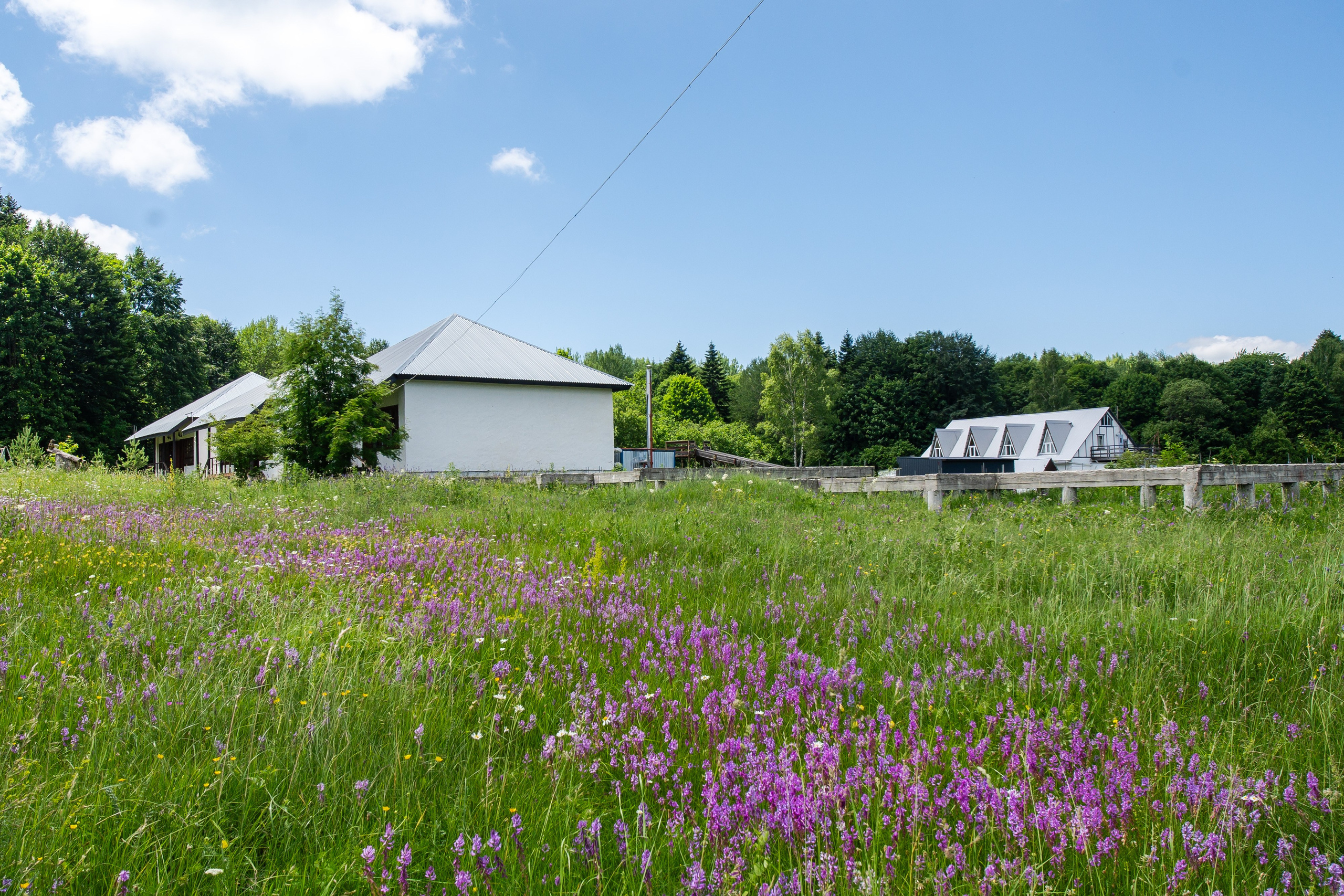 Эко Туризм Камышанова поляна. Инвестиционный консалтинг Недвижимость