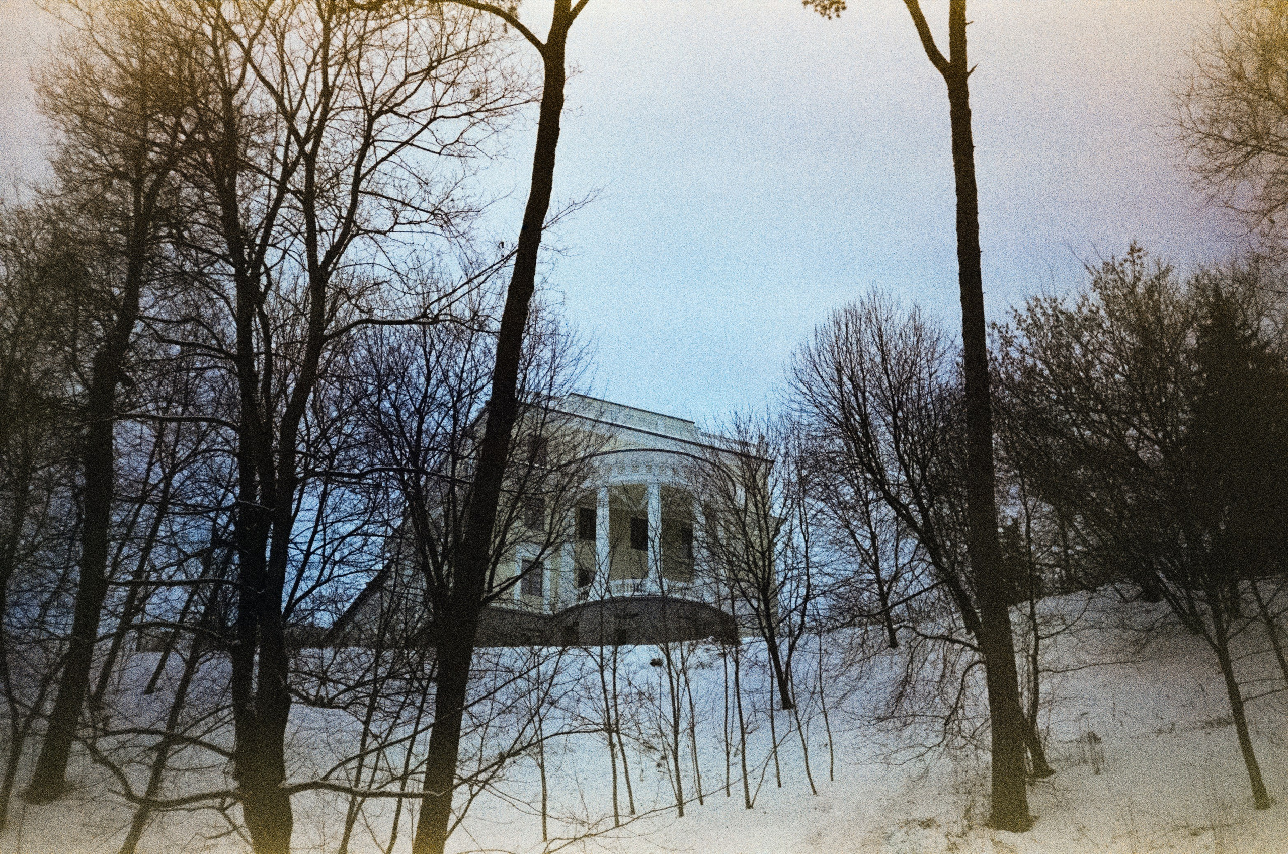 Fujicolor Superia 200 (просрочка) / Cosina CX-1 / 6 января 2025 года Усадьба Архангельское