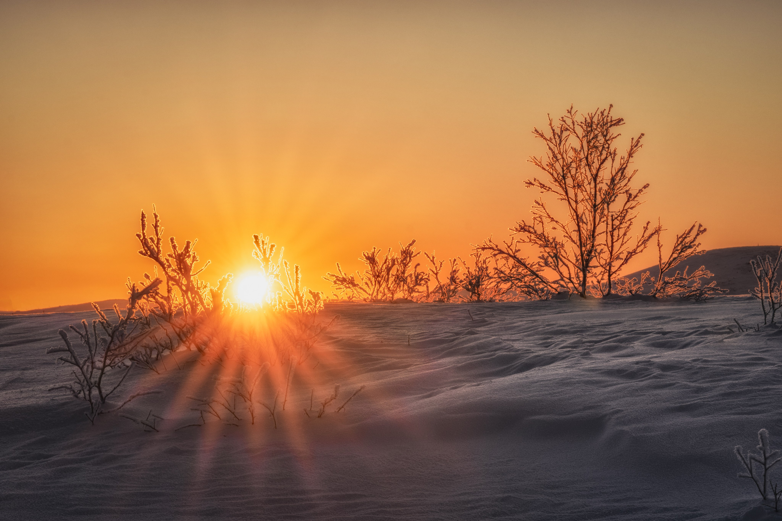 Предзимье на Кольском