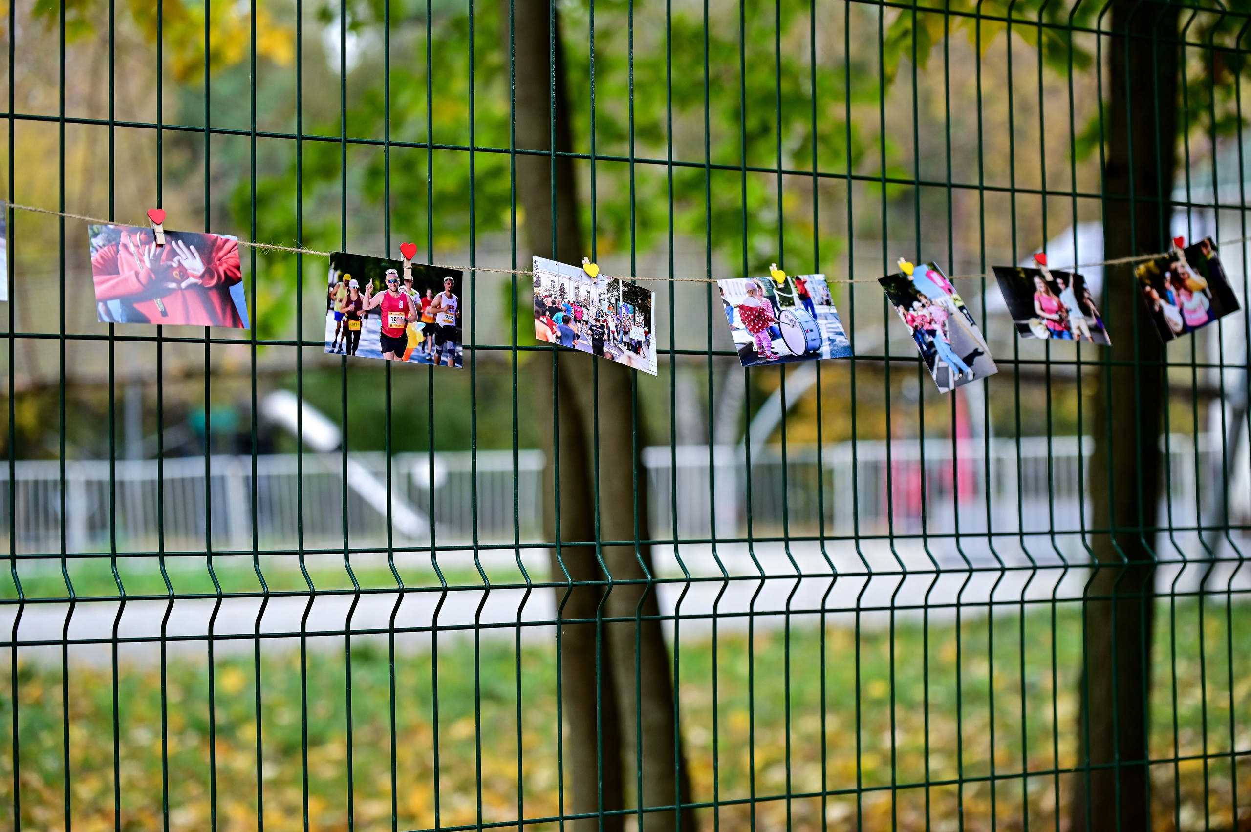 S95 Кузьминки Предмарафонский (12.10.24). Фотограф | Ирина Гамзинова | Москва