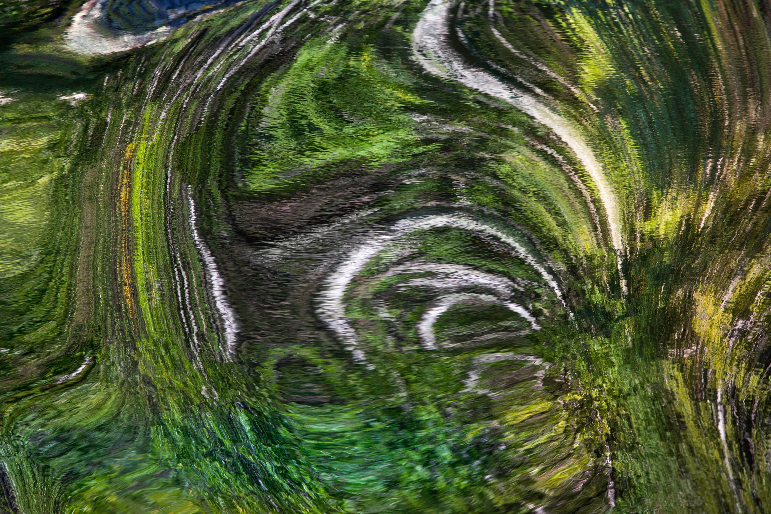 Татьяна Корчагина. Фотограф, художник. Обучение фотографии