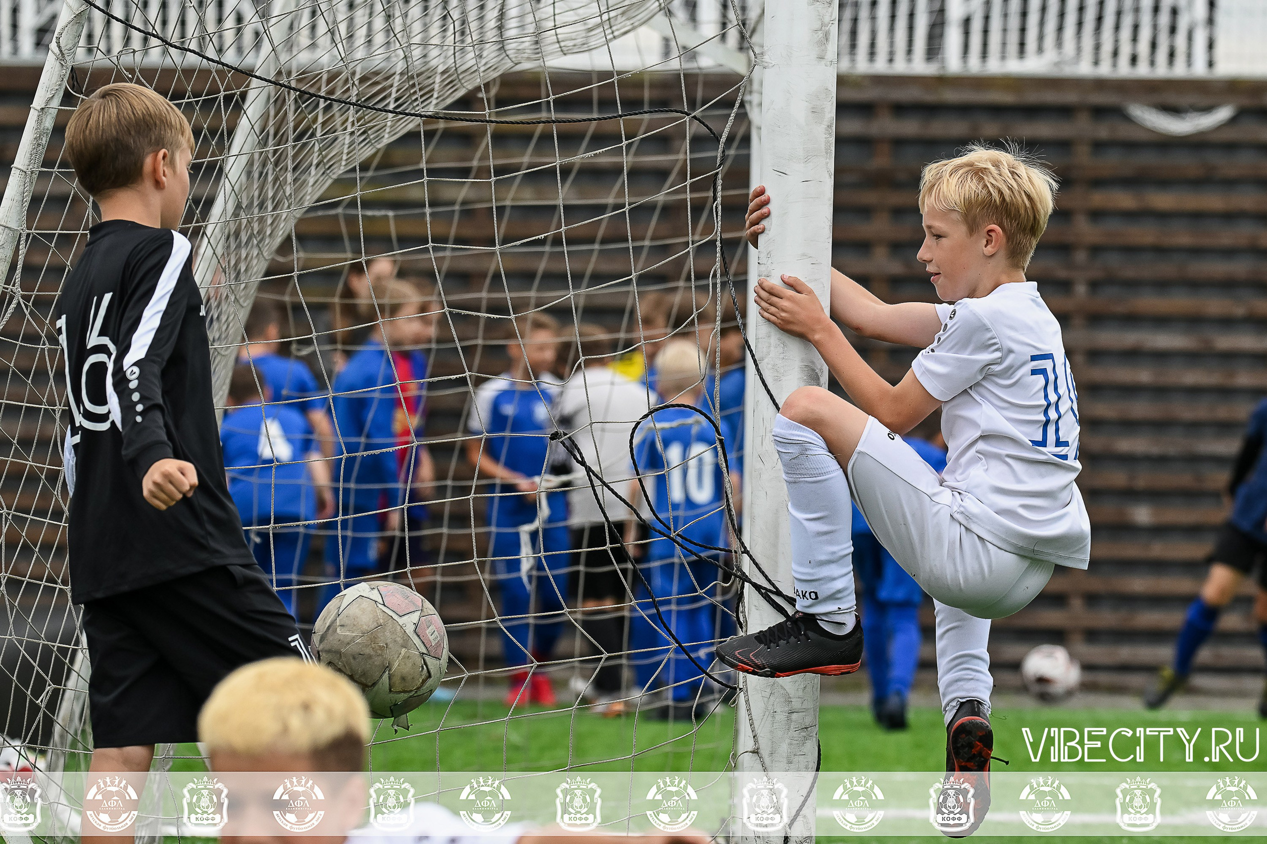 Калининградская Детская Футбольная Лига. VIBECITY.RU Вайб Сити Ру Фоторепортажи Фотоотчеты Калининград