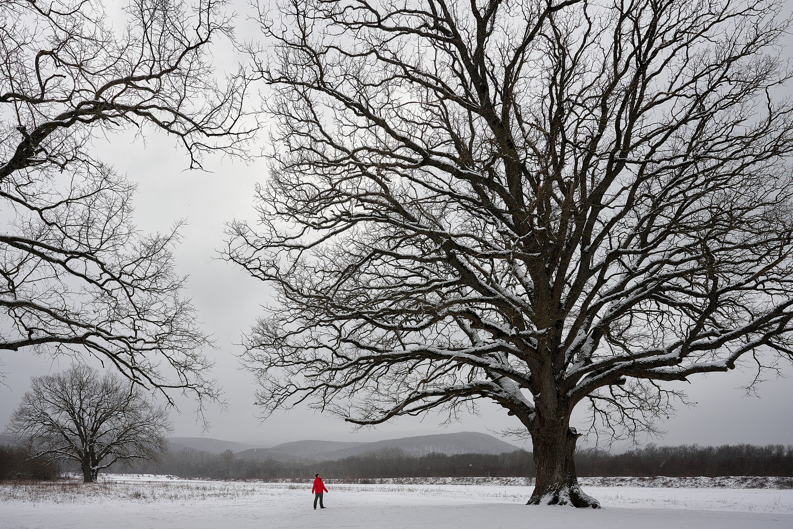 Пейзажи. Яркие фото на Чёрном море