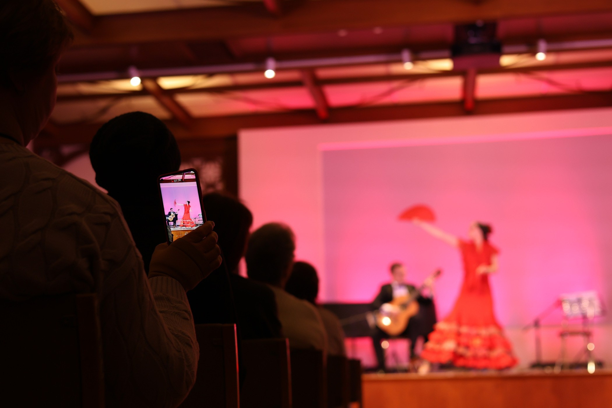 «Ночи в садах Испании» в Царицыно. Дмитрий Бородаев